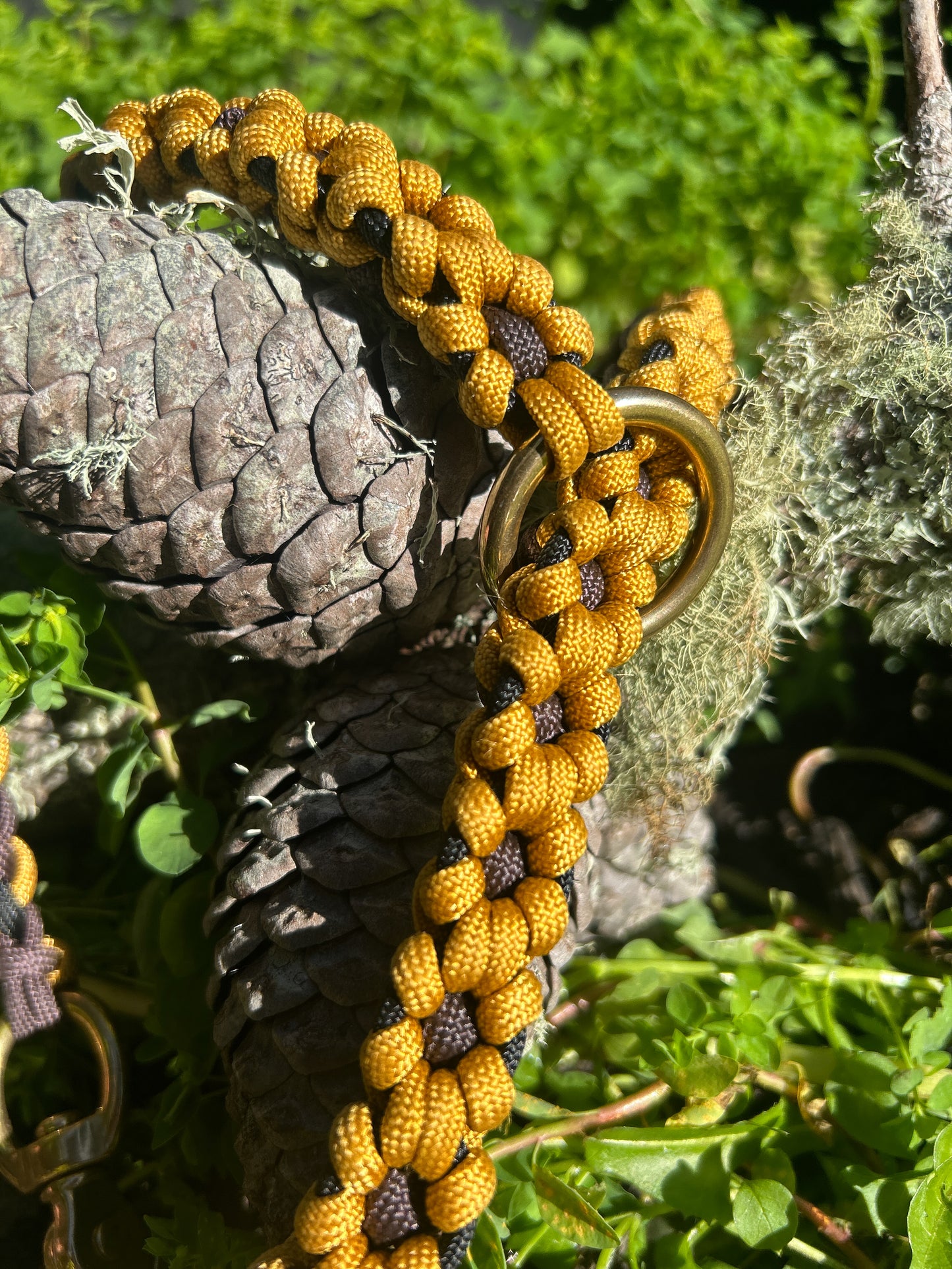 The Daisy Chain