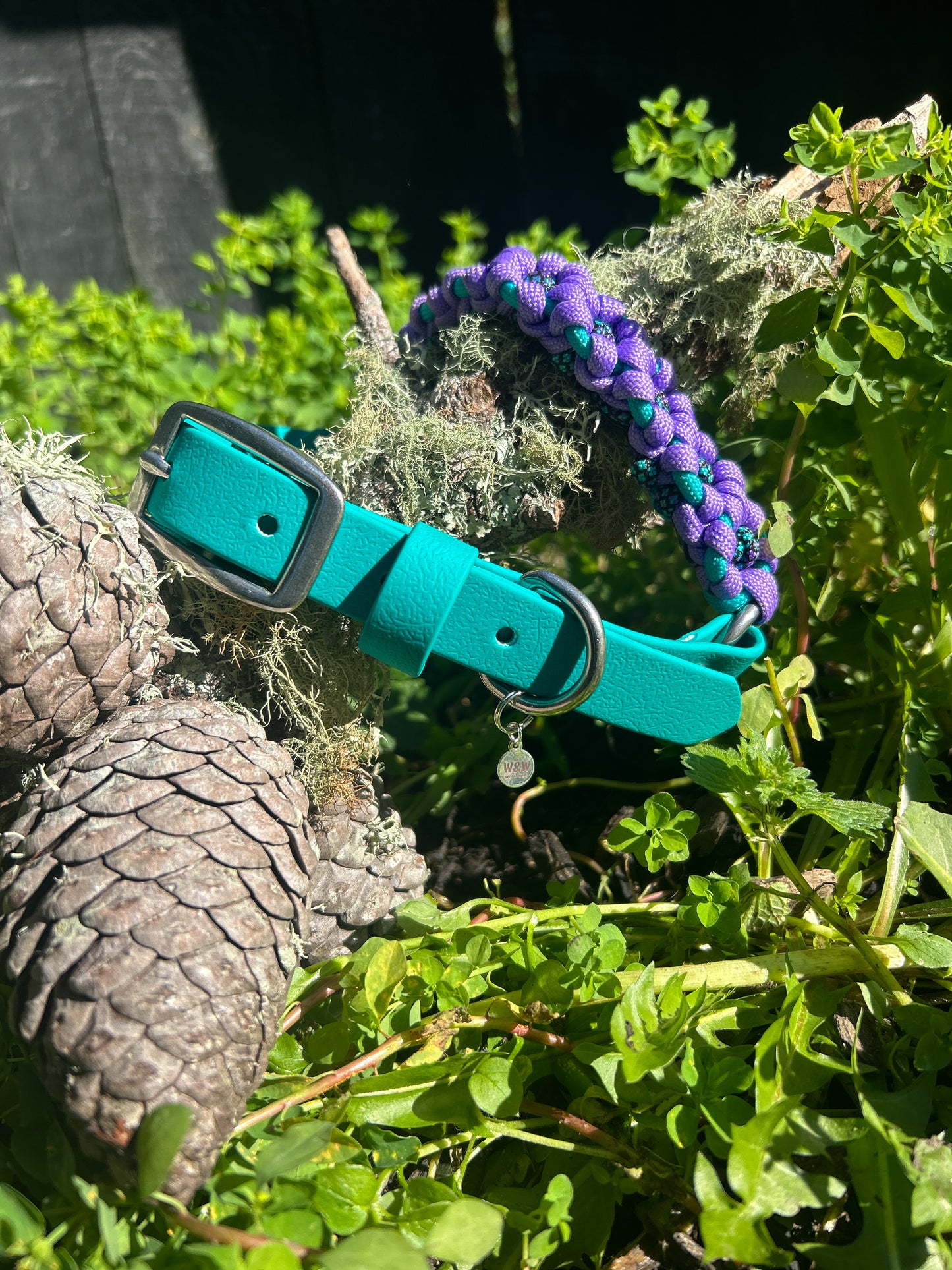 The Hybrid Bloom