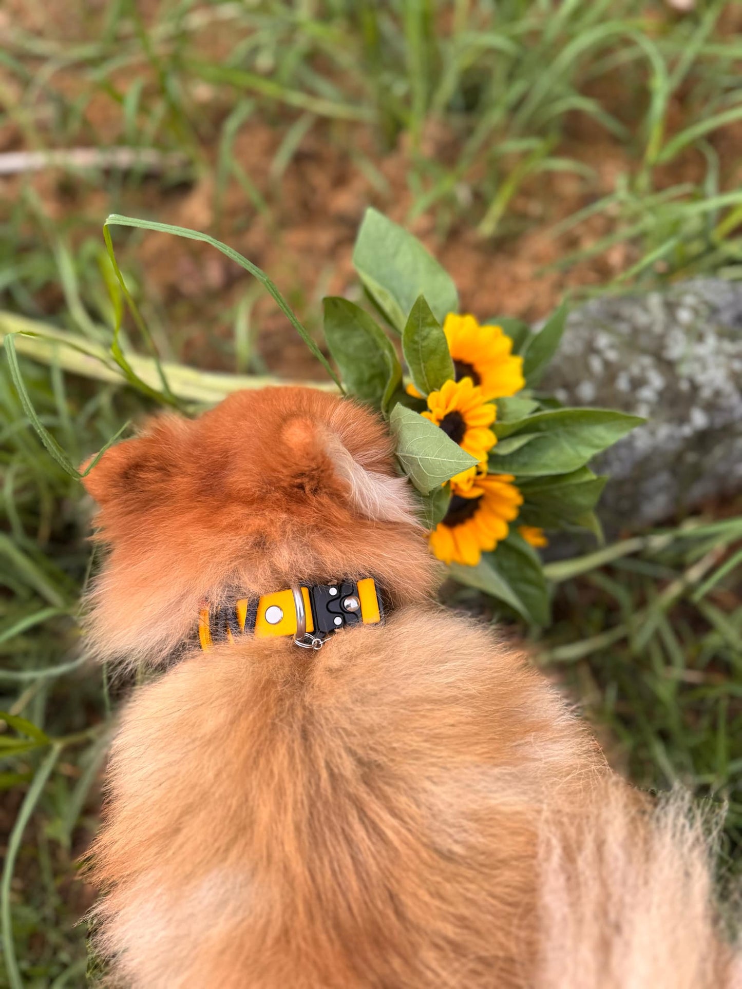 Trekker 3/4" Collar