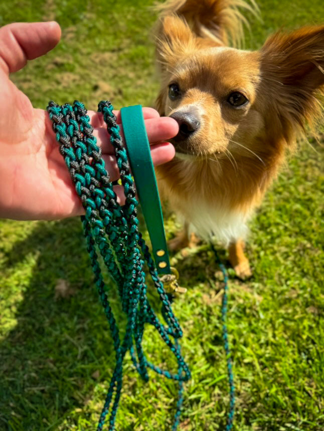 Cooper's Collection