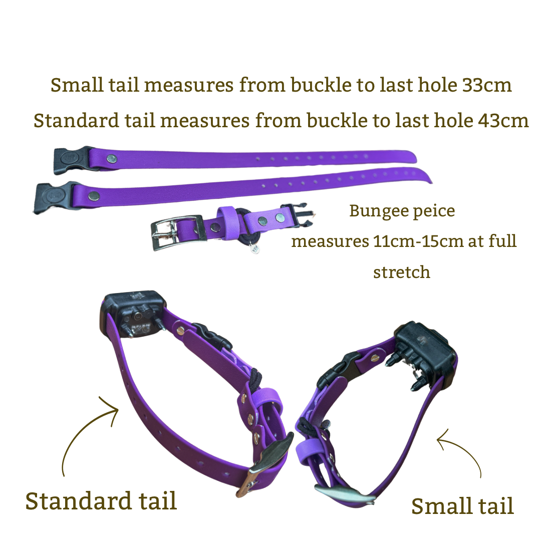 Quick release bungee E-Collar 3/4"