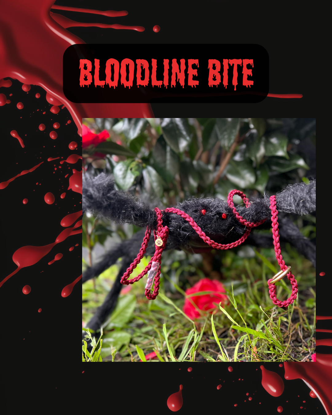 Bloodlines