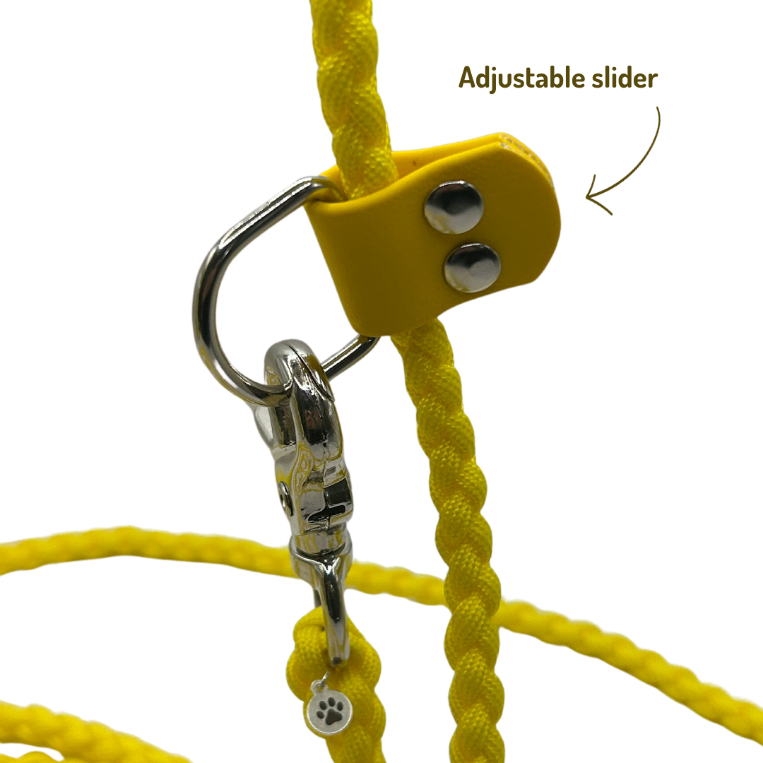 Multi-Function Paracord Lead