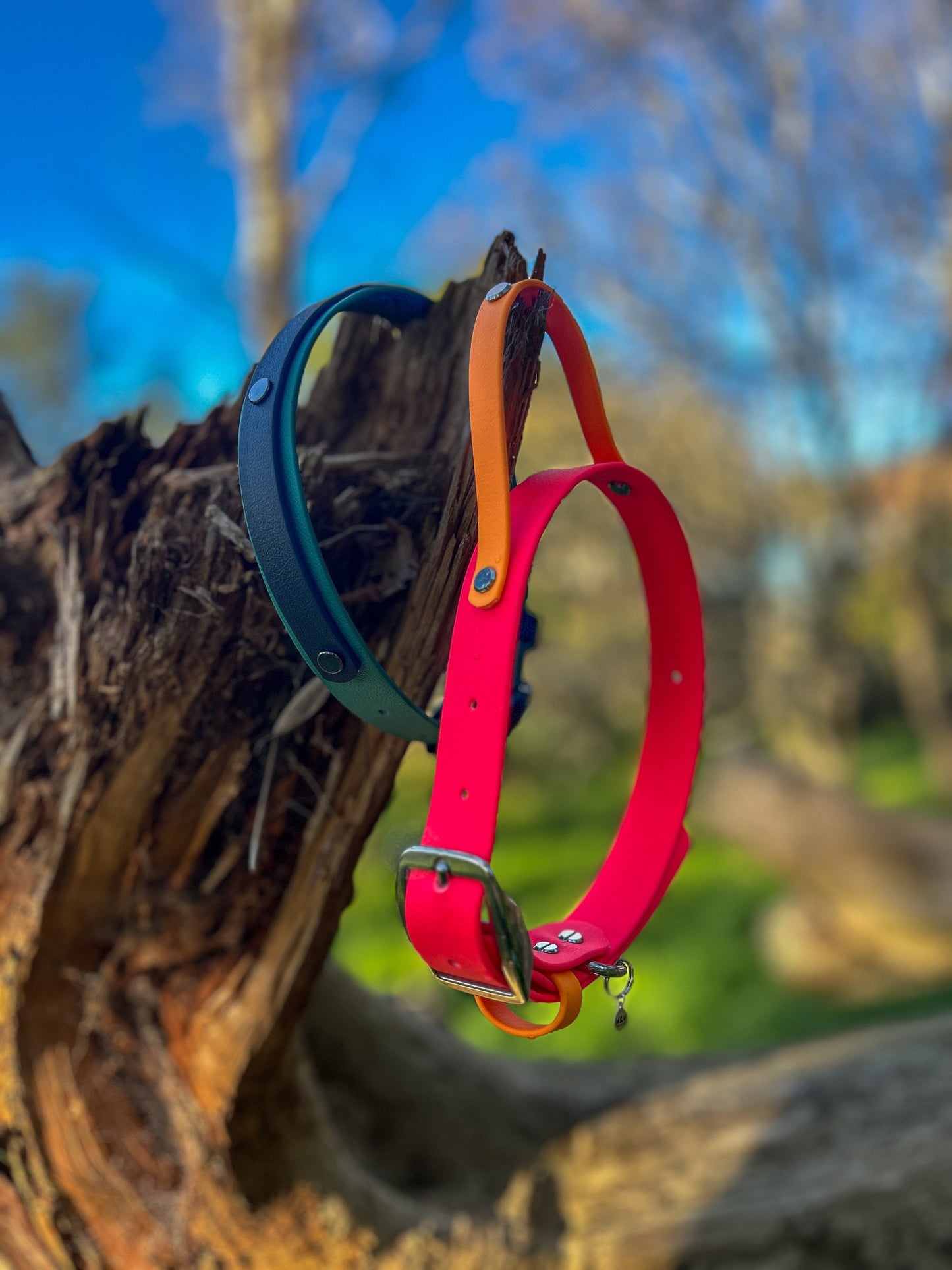 BioThane Collar with Tactical Handle
