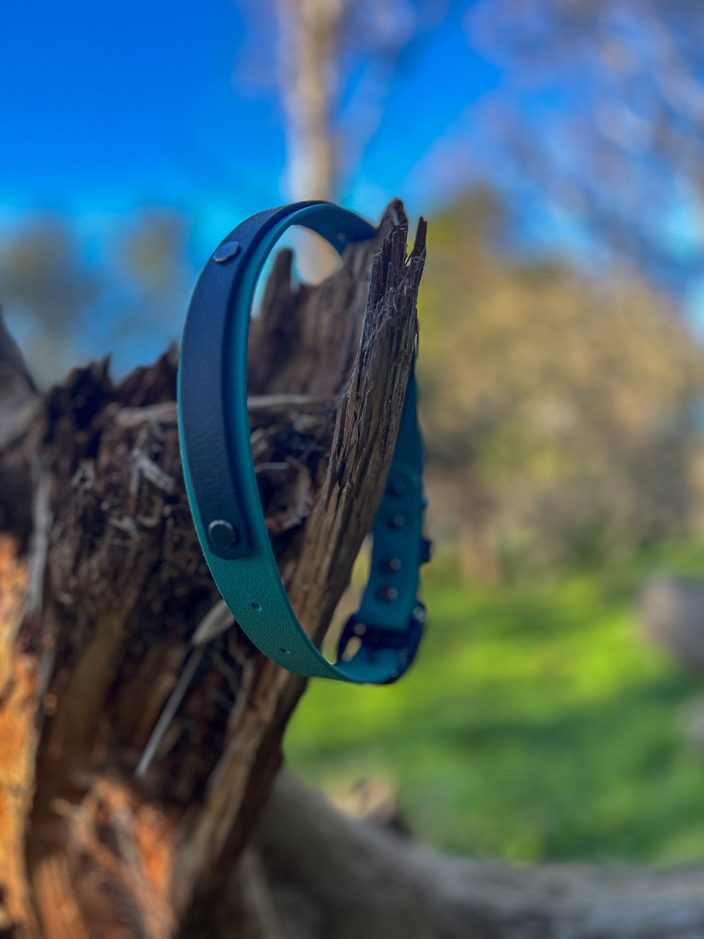 BioThane Collar with Tactical Handle