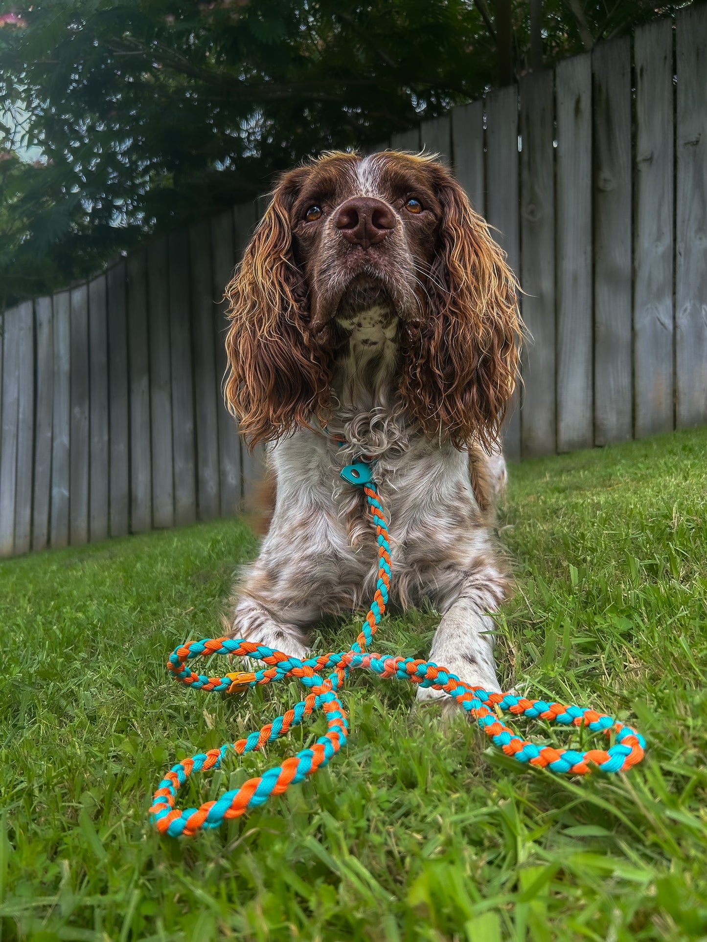 Paracord Clip Lead