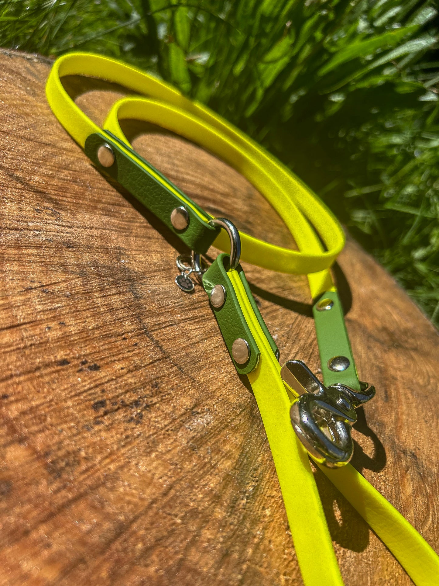 BioThane Lead