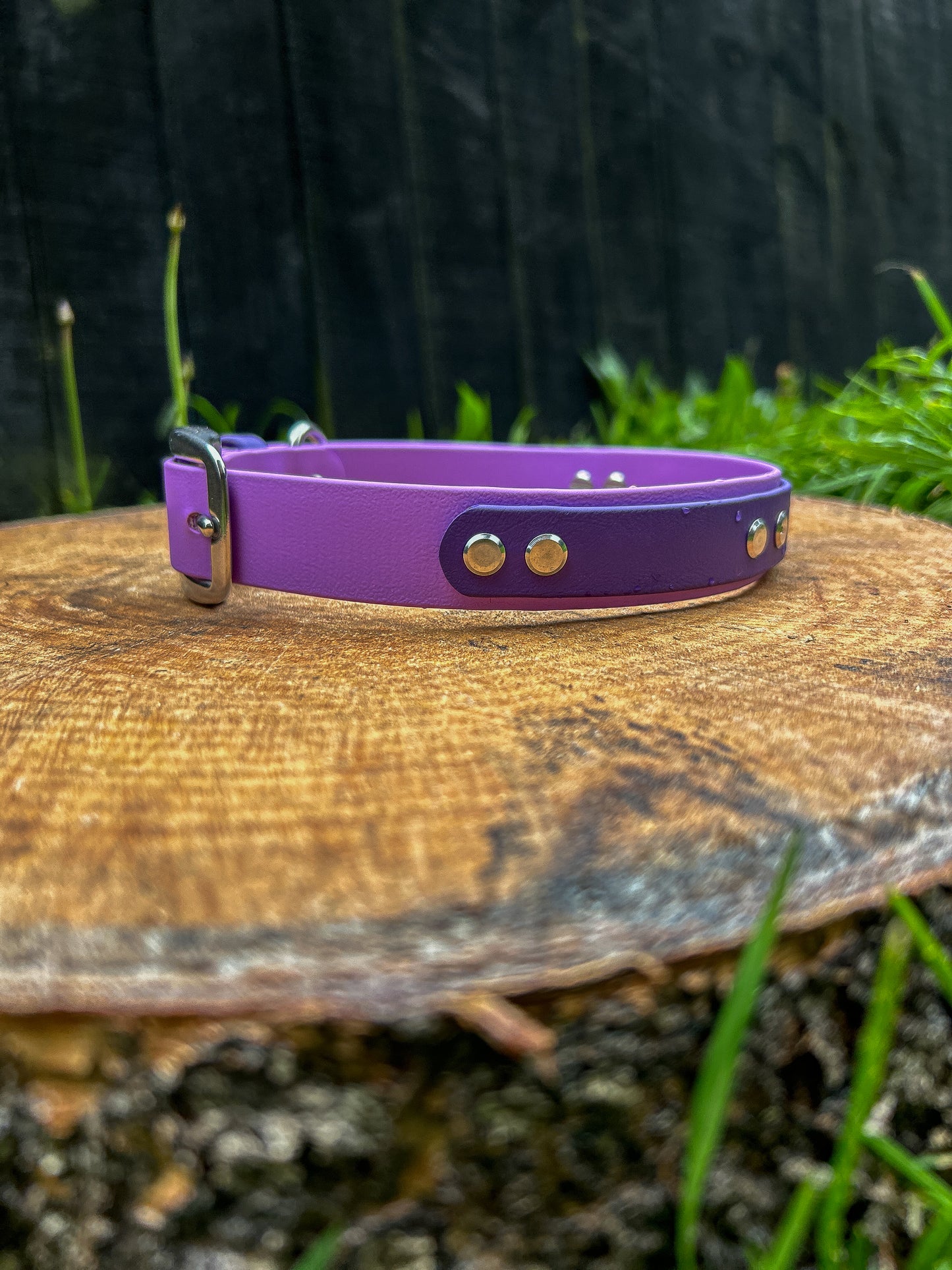 BioThane Collar with Tactical Handle