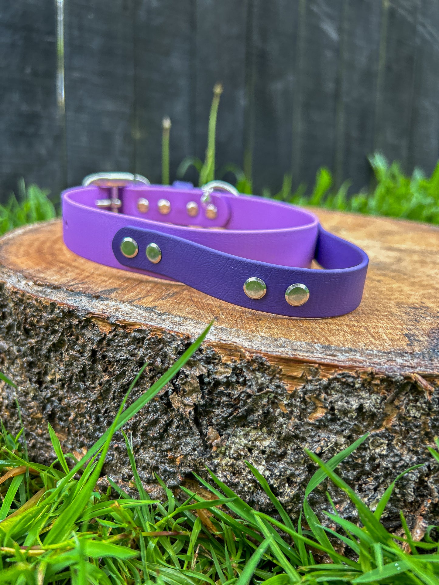 BioThane Collar with Tactical Handle