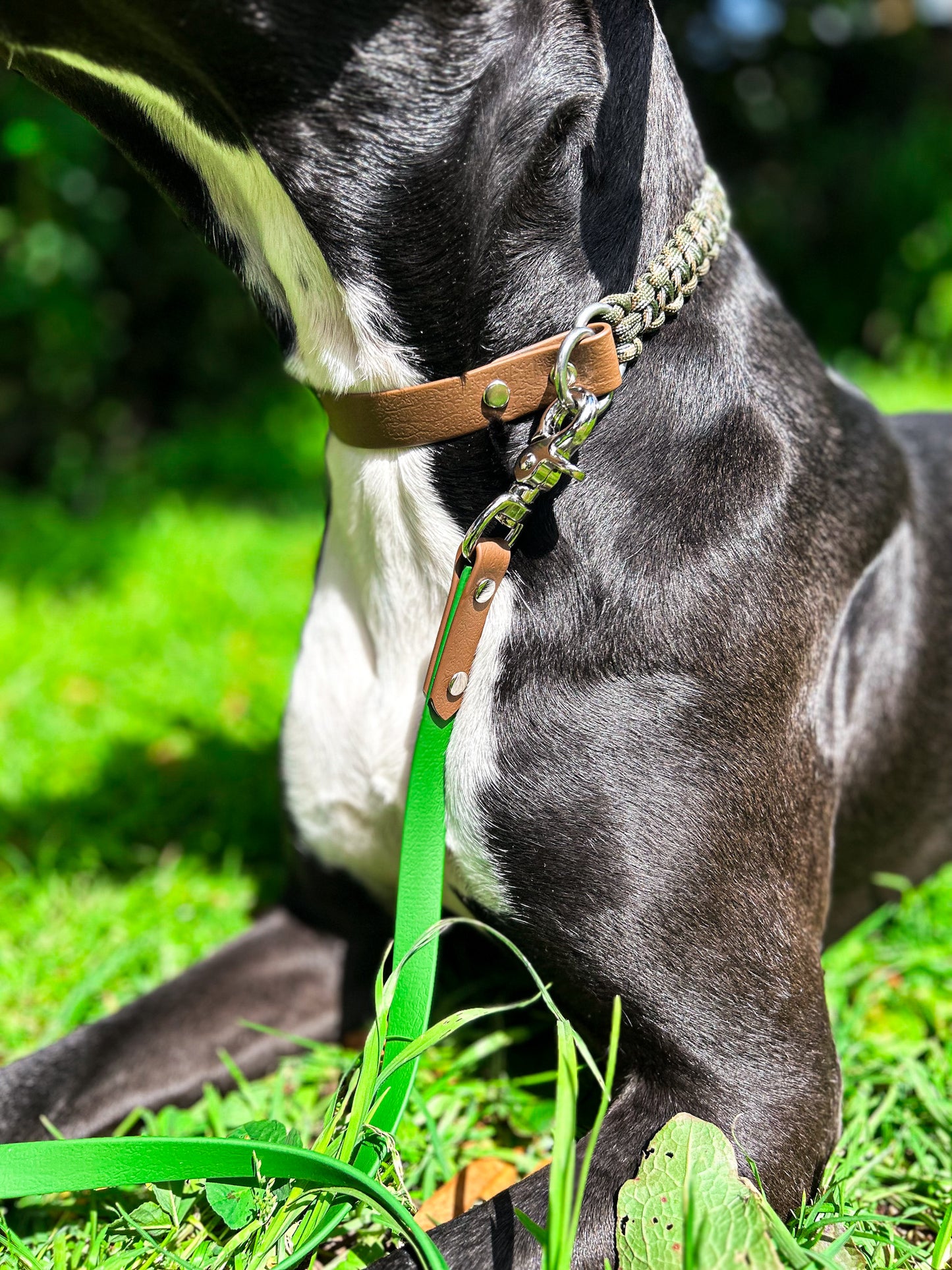 Multi-Function BioThane Lead