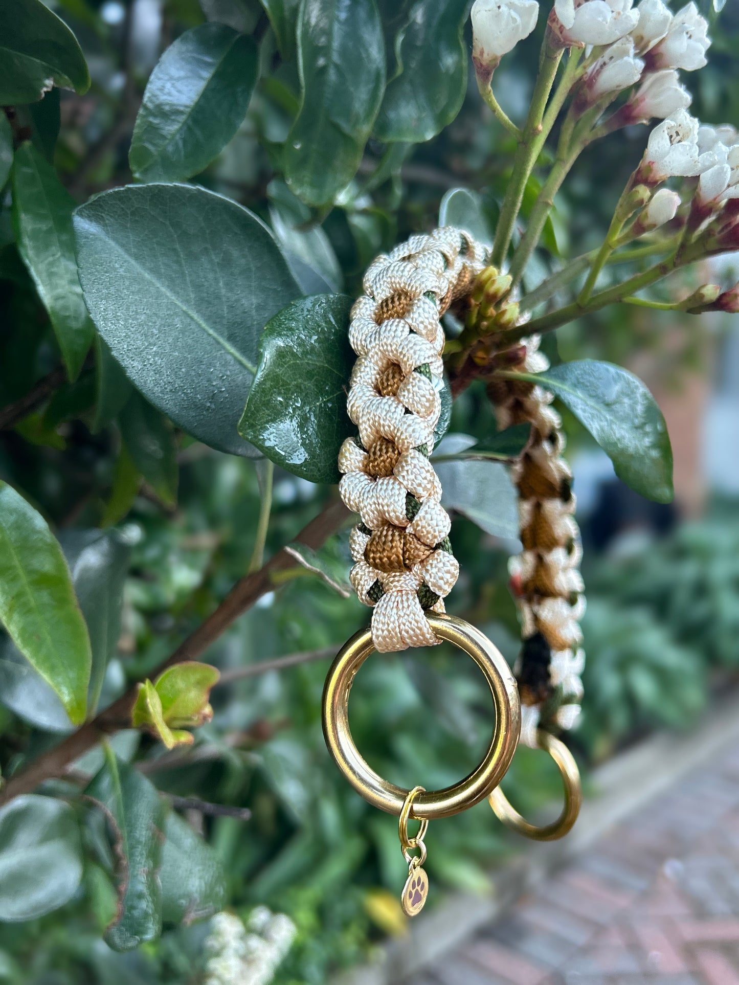 The Bloom Loop