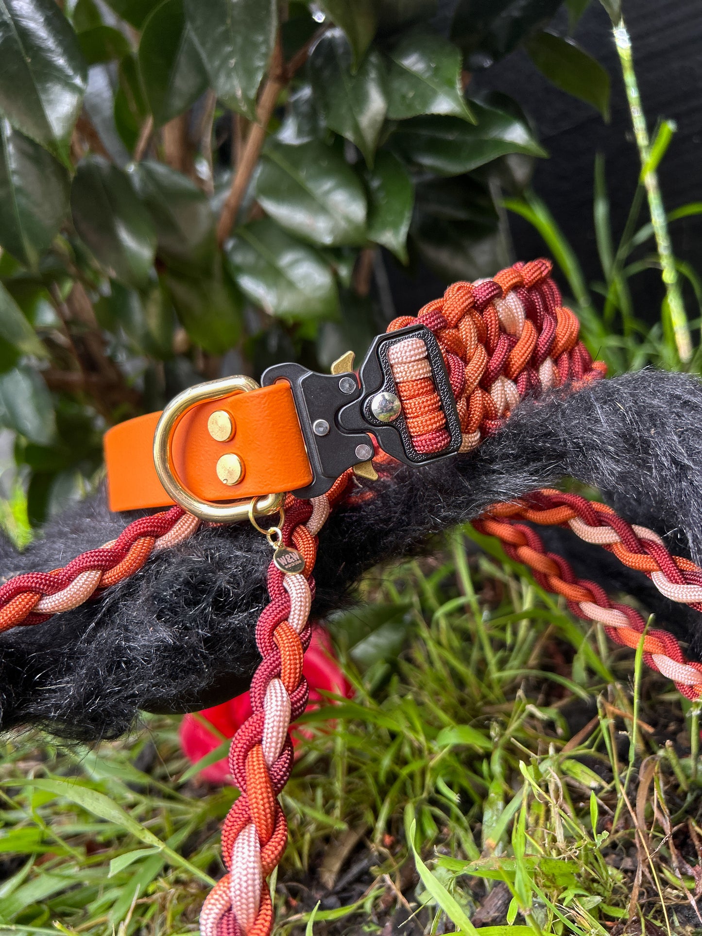 Inferno Pact