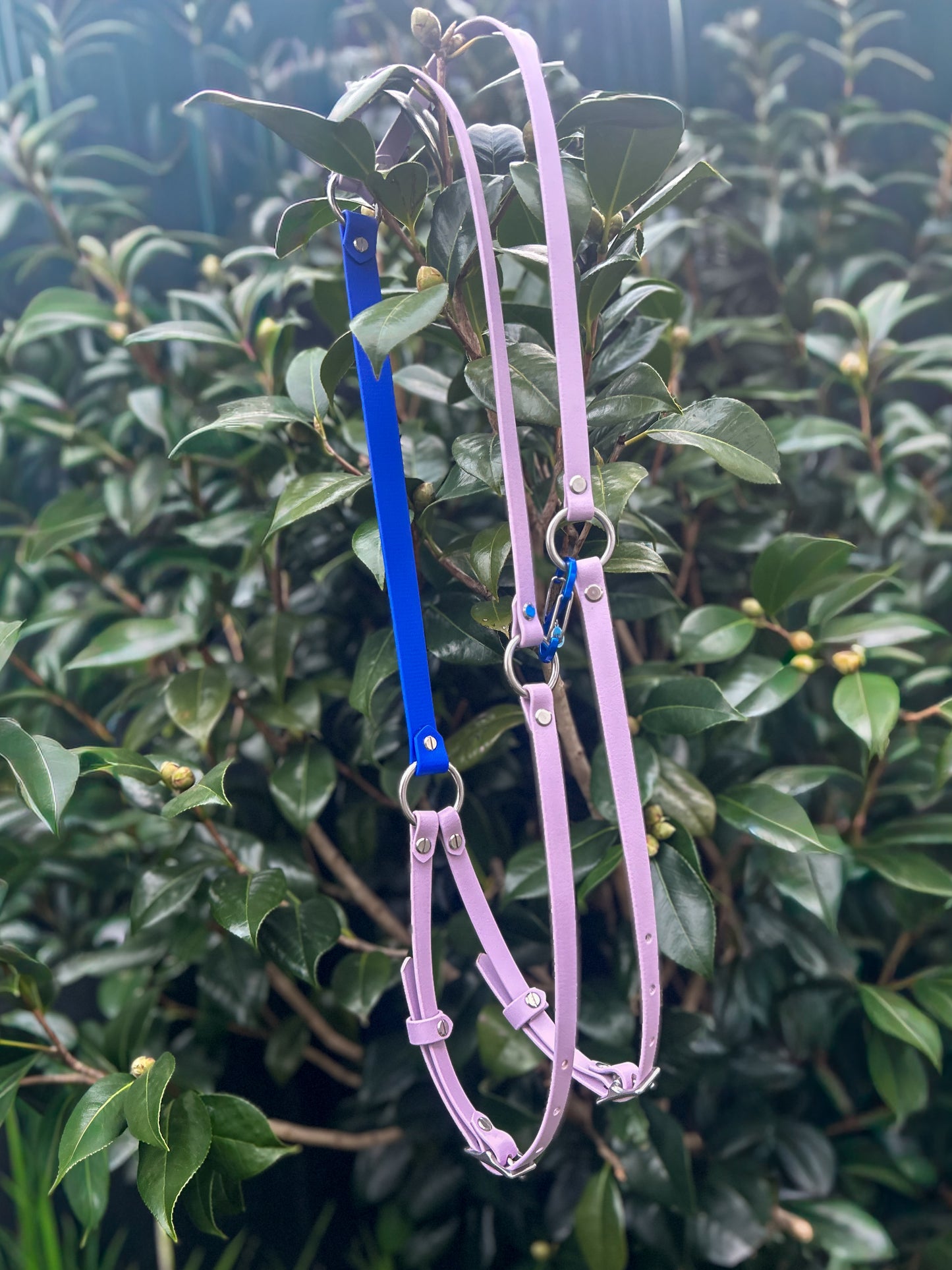 Simplistic Pack Harness