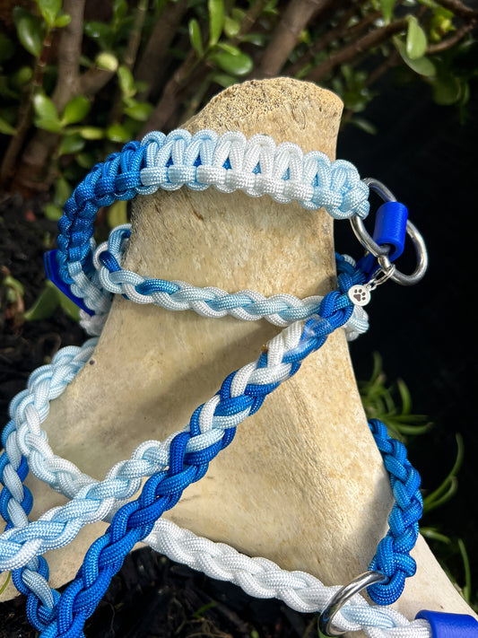 Blueveil Echo