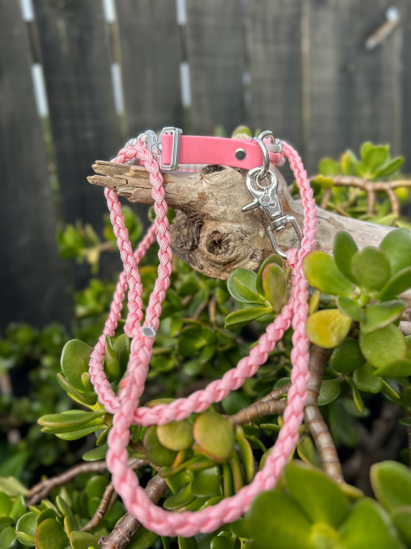 The Grow With Me Collar