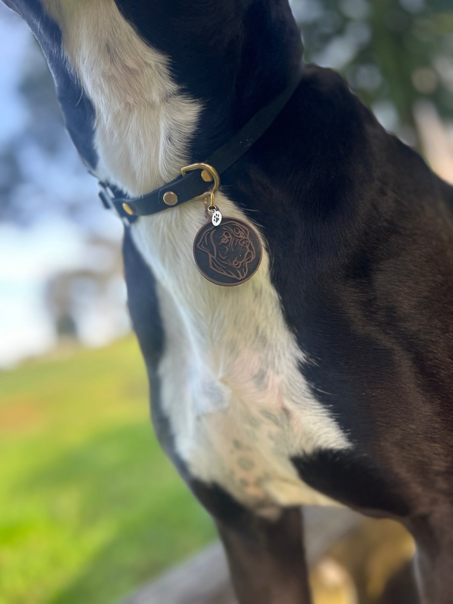 Wander Tags | Silhouette