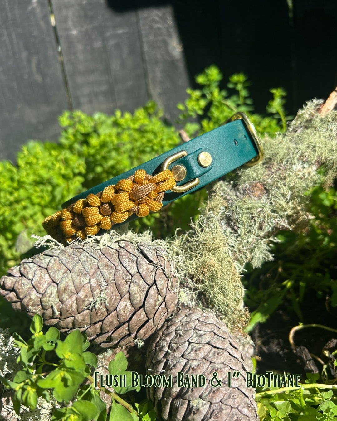 The Bloom Band 3/4"