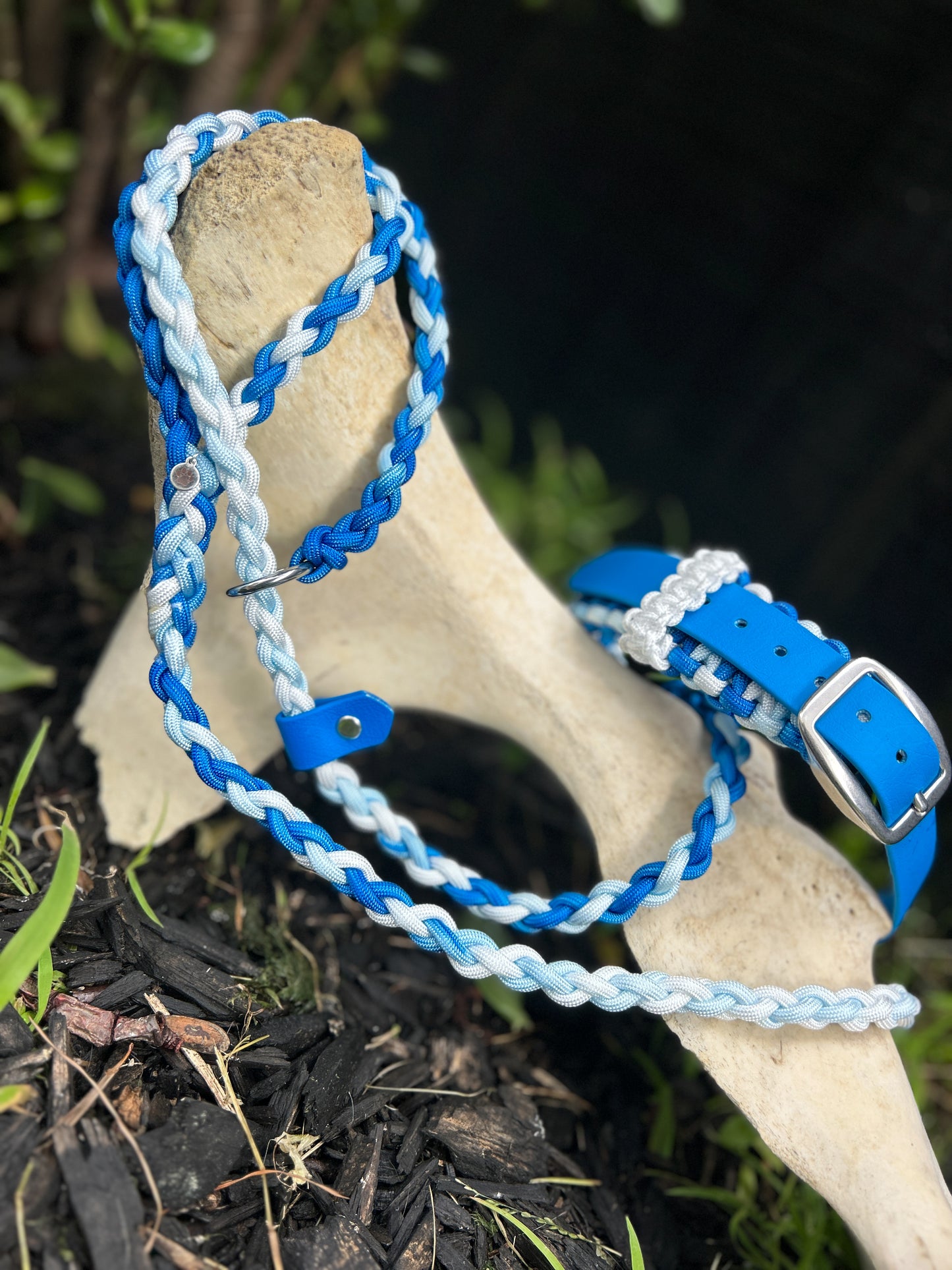 Blueveil Surge