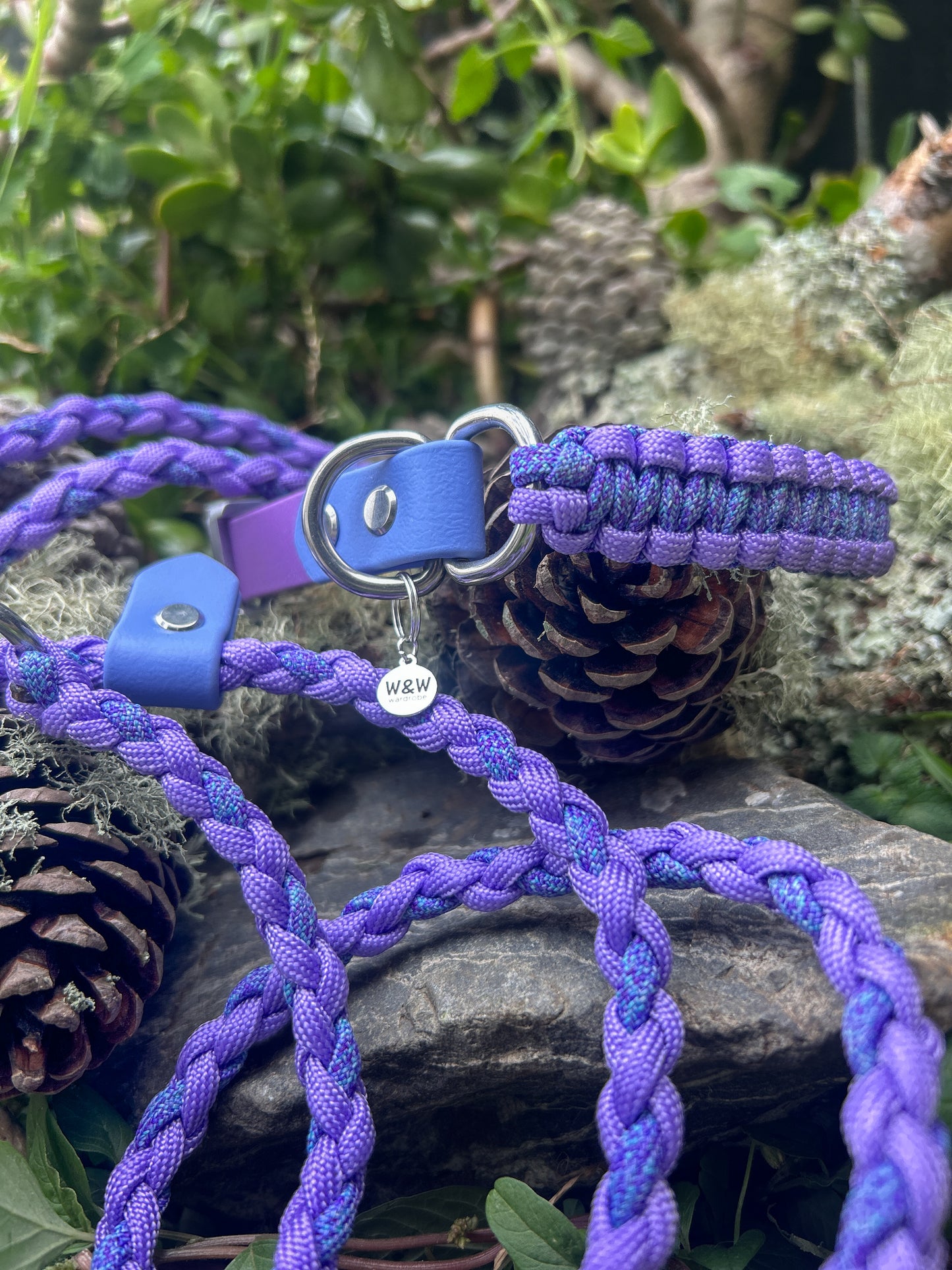 The Grow With Me Collar