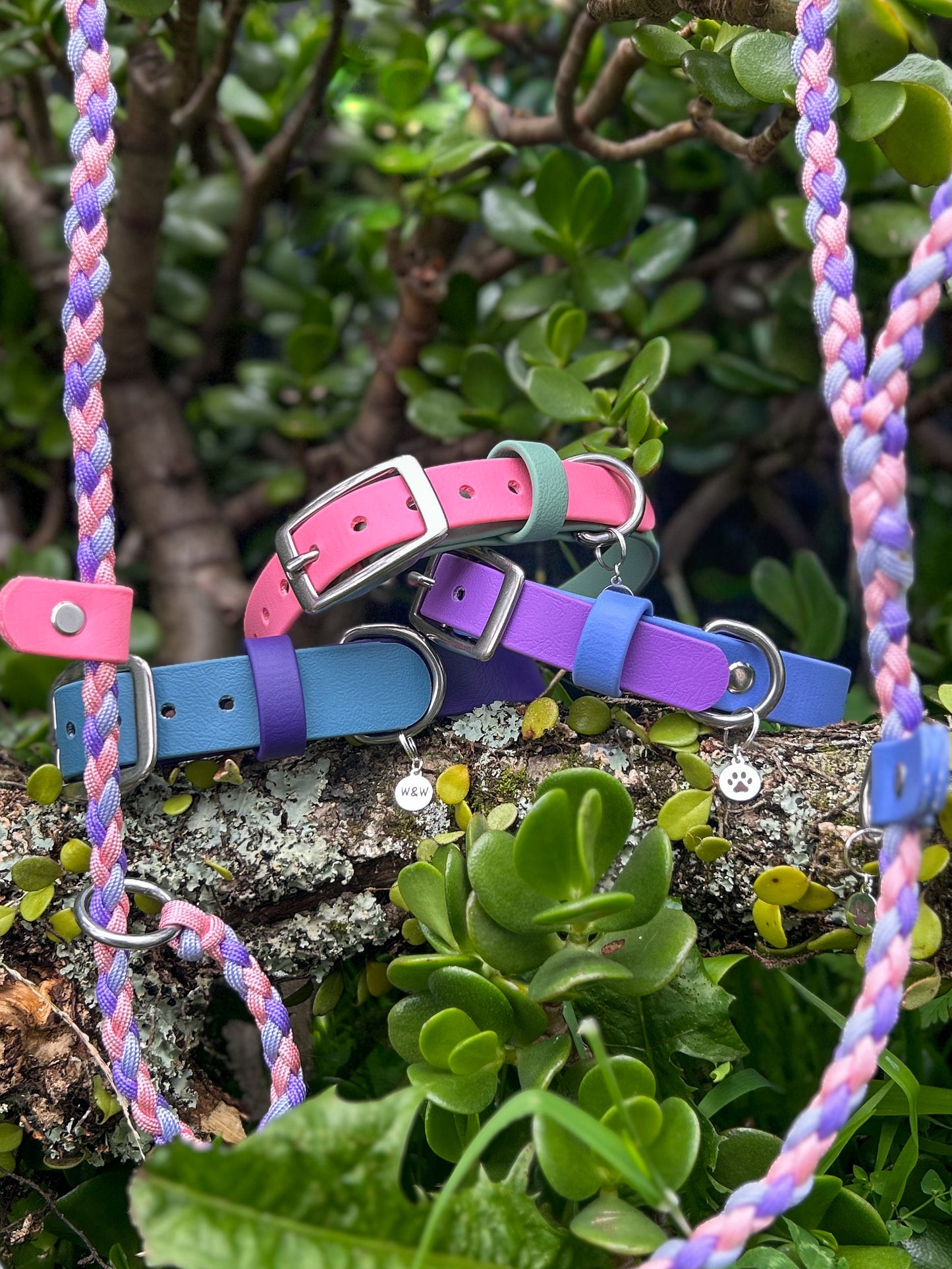 Double Trouble Collar