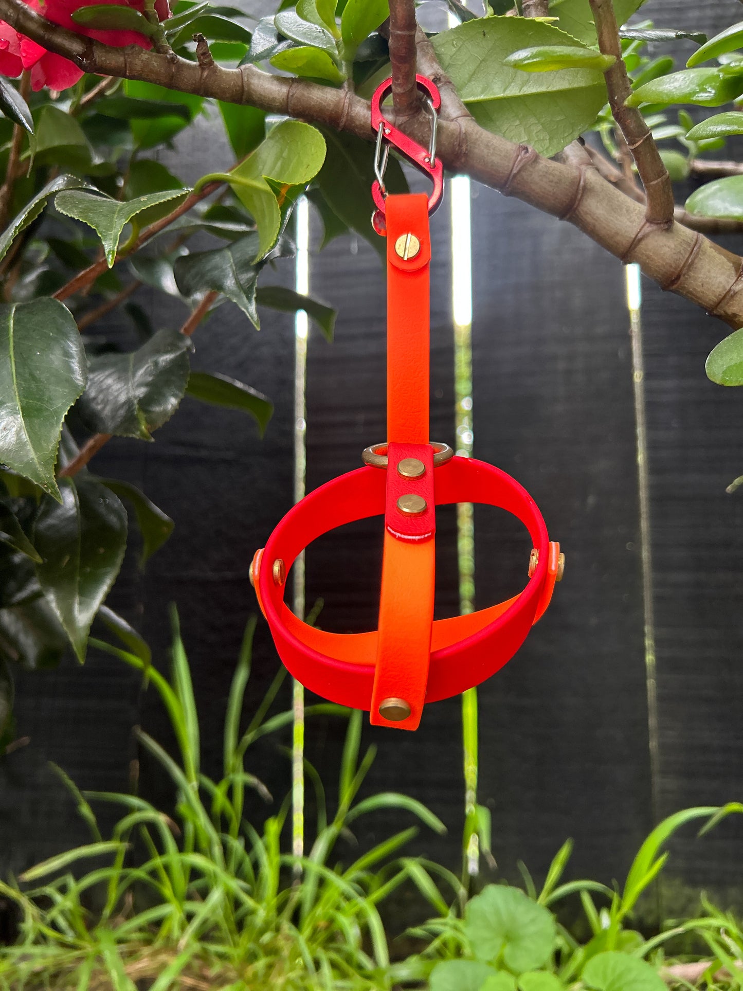 Blaze Bite - Ball holder