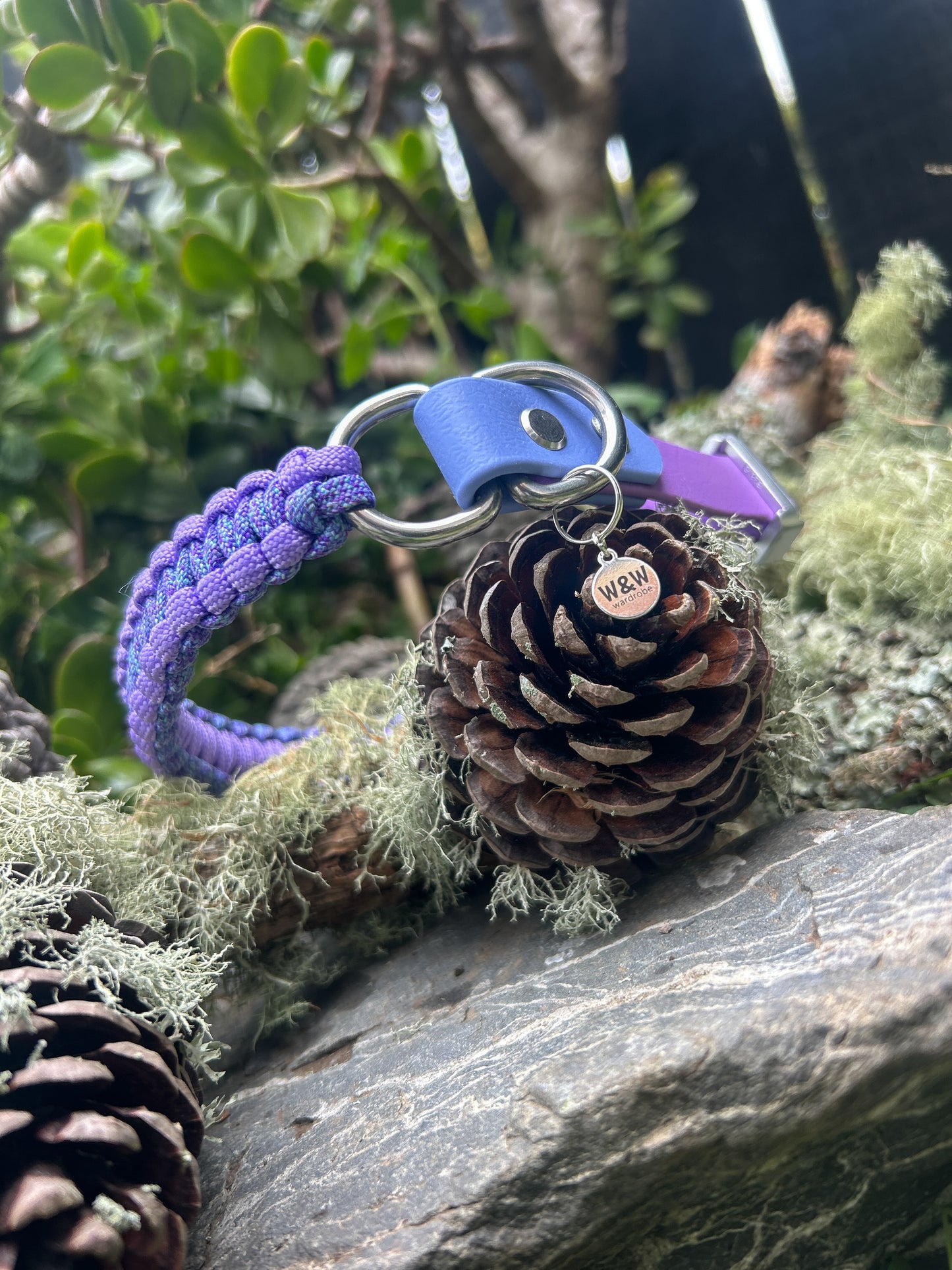 The Grow With Me Collar