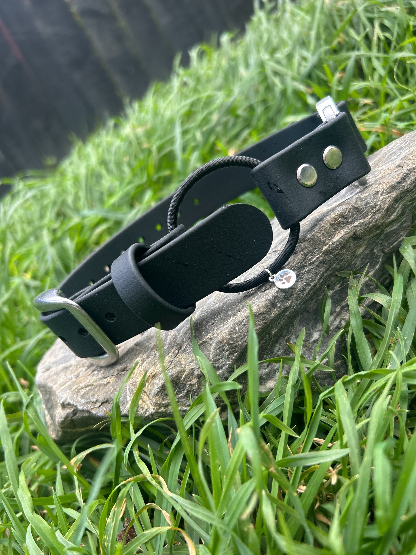 Quick Release E-Collar Bungee 1"