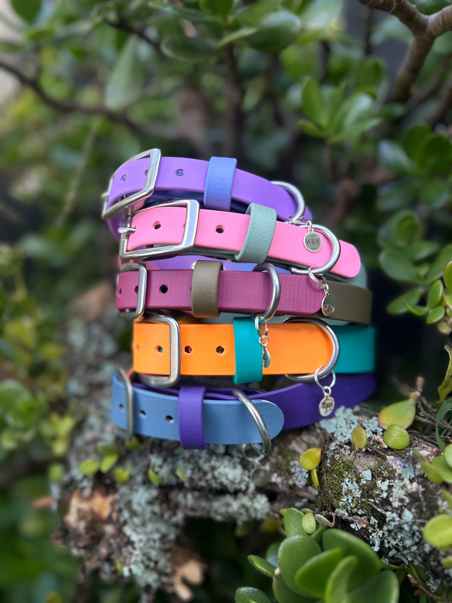 Double Trouble Collar