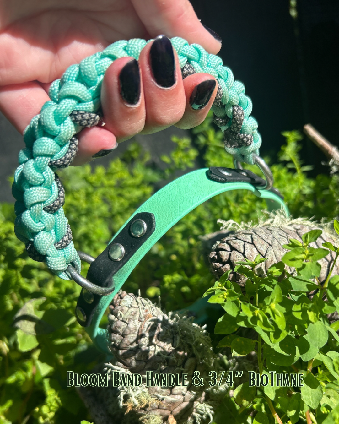 The Bloom Band 3/4"