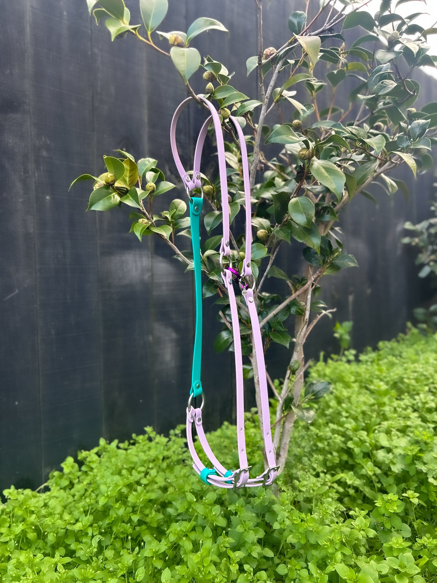 Simplistic Pack Harness