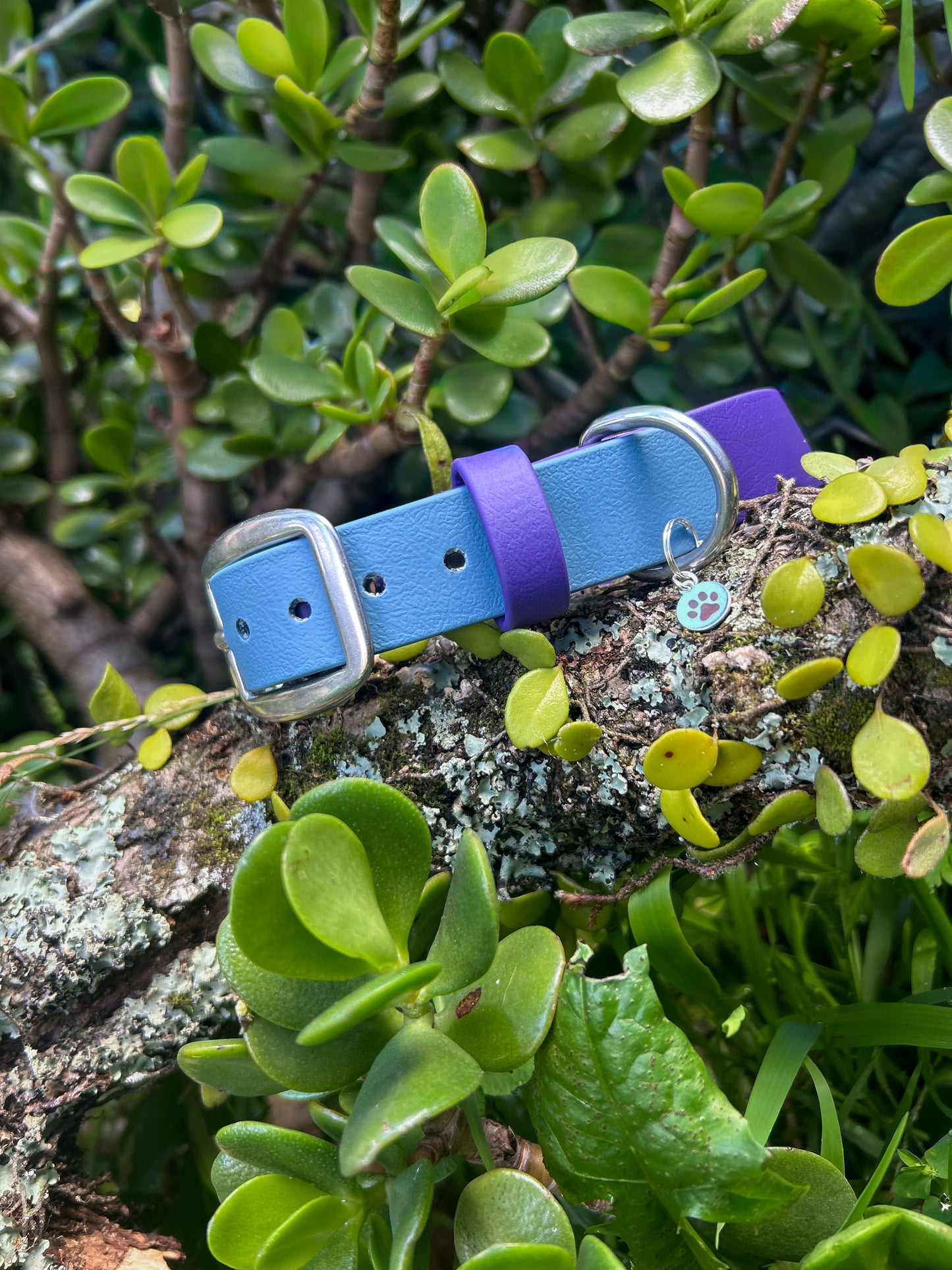 Double Trouble Collar