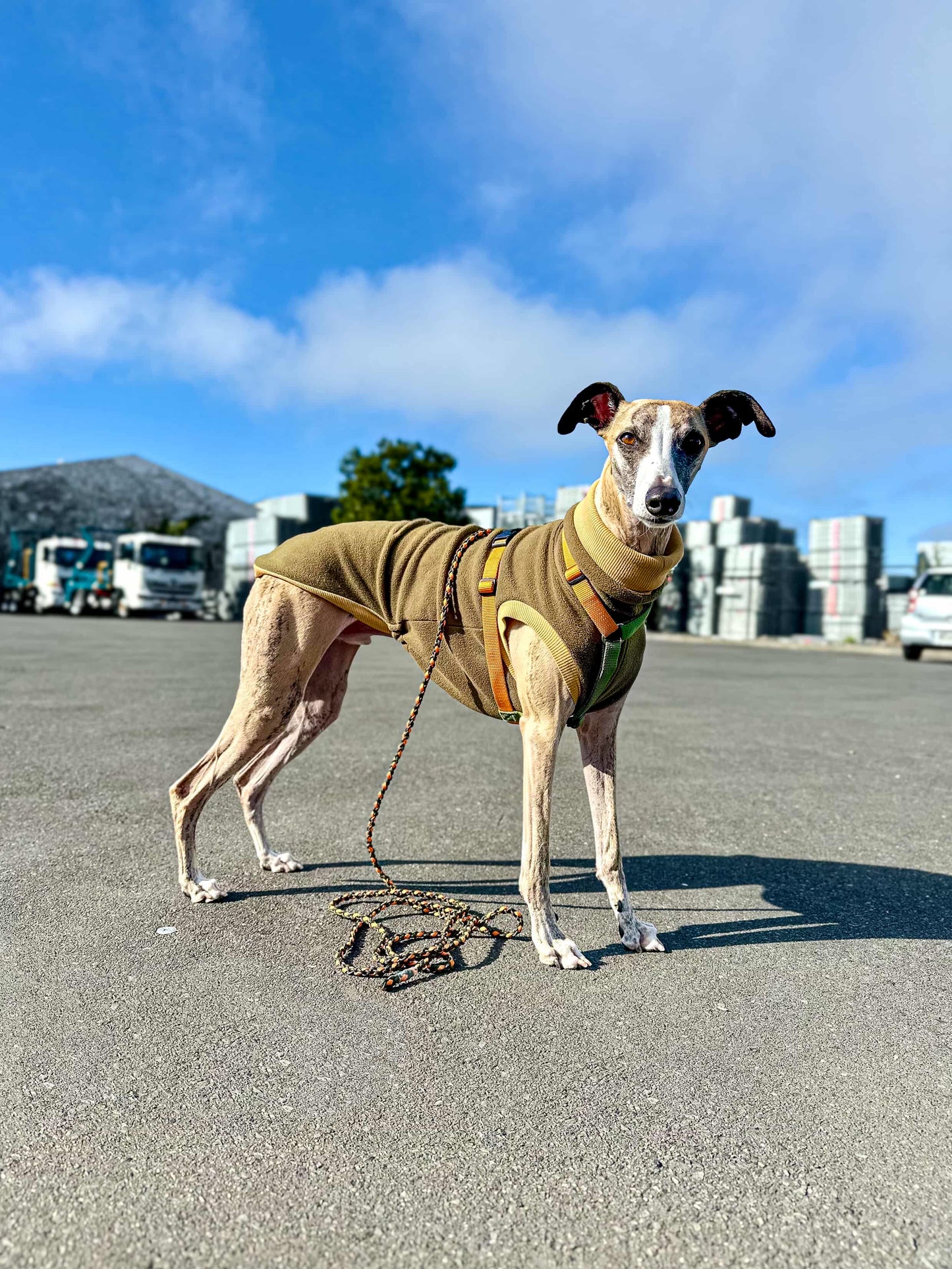 Lightweight Paracord Long Line