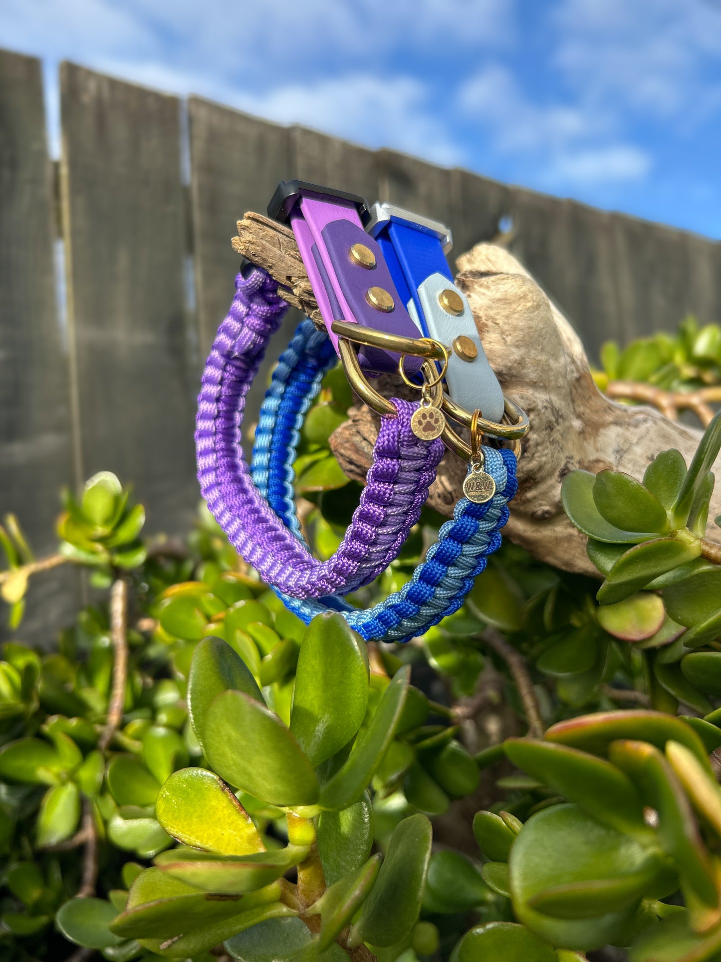 The Grow With Me Collar