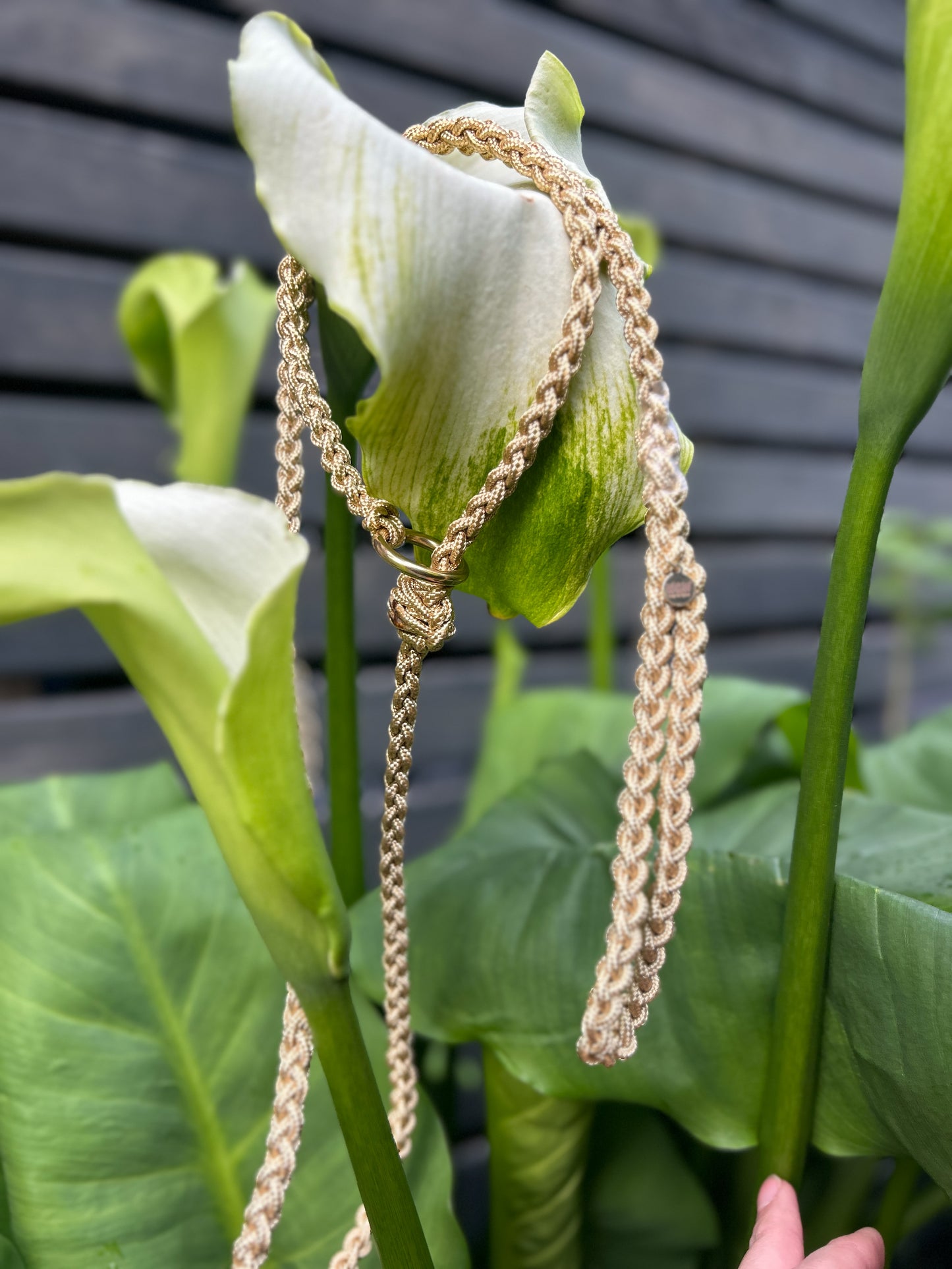 Lightweight Paracord Lead