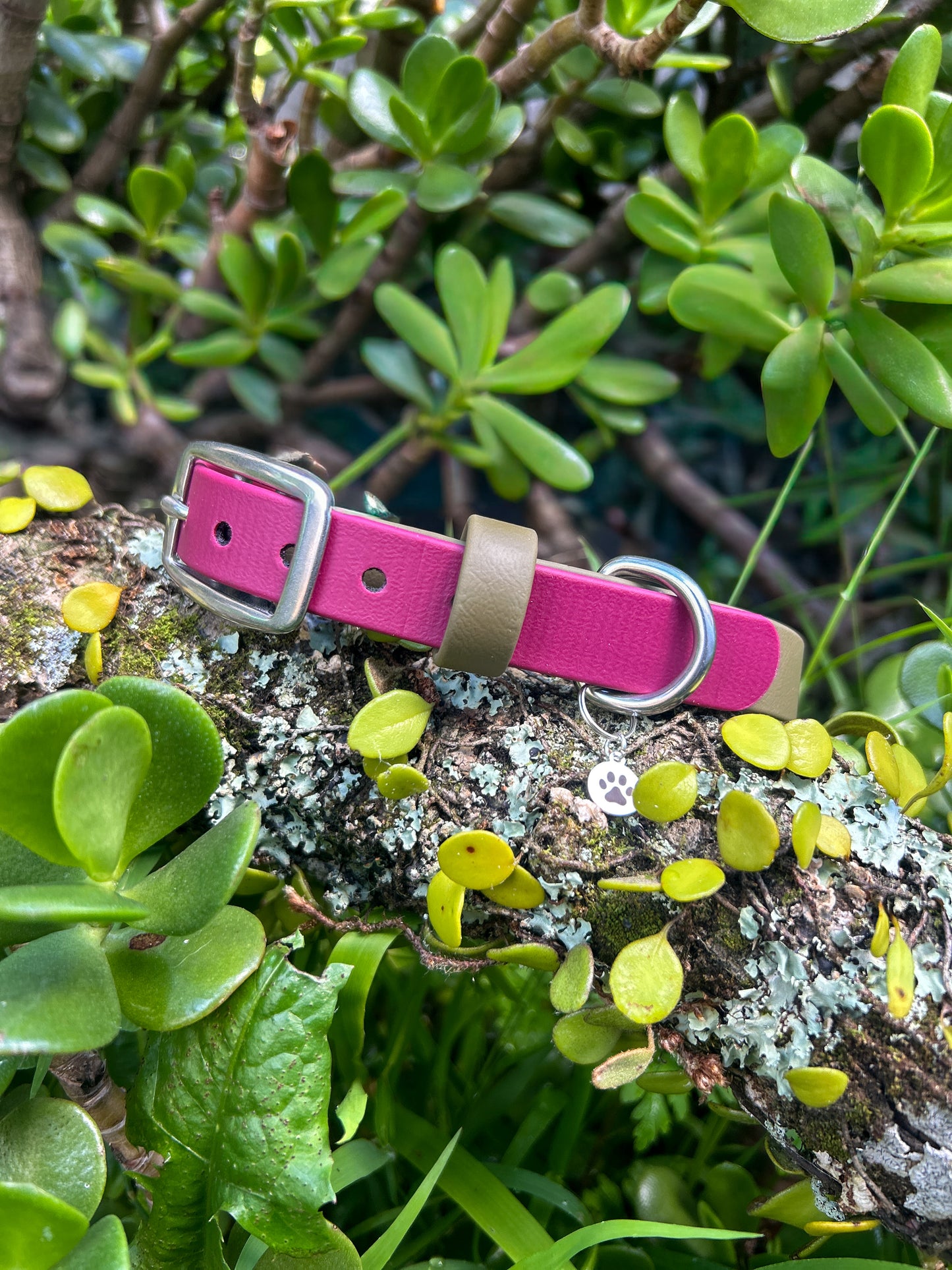 Double Trouble Collar