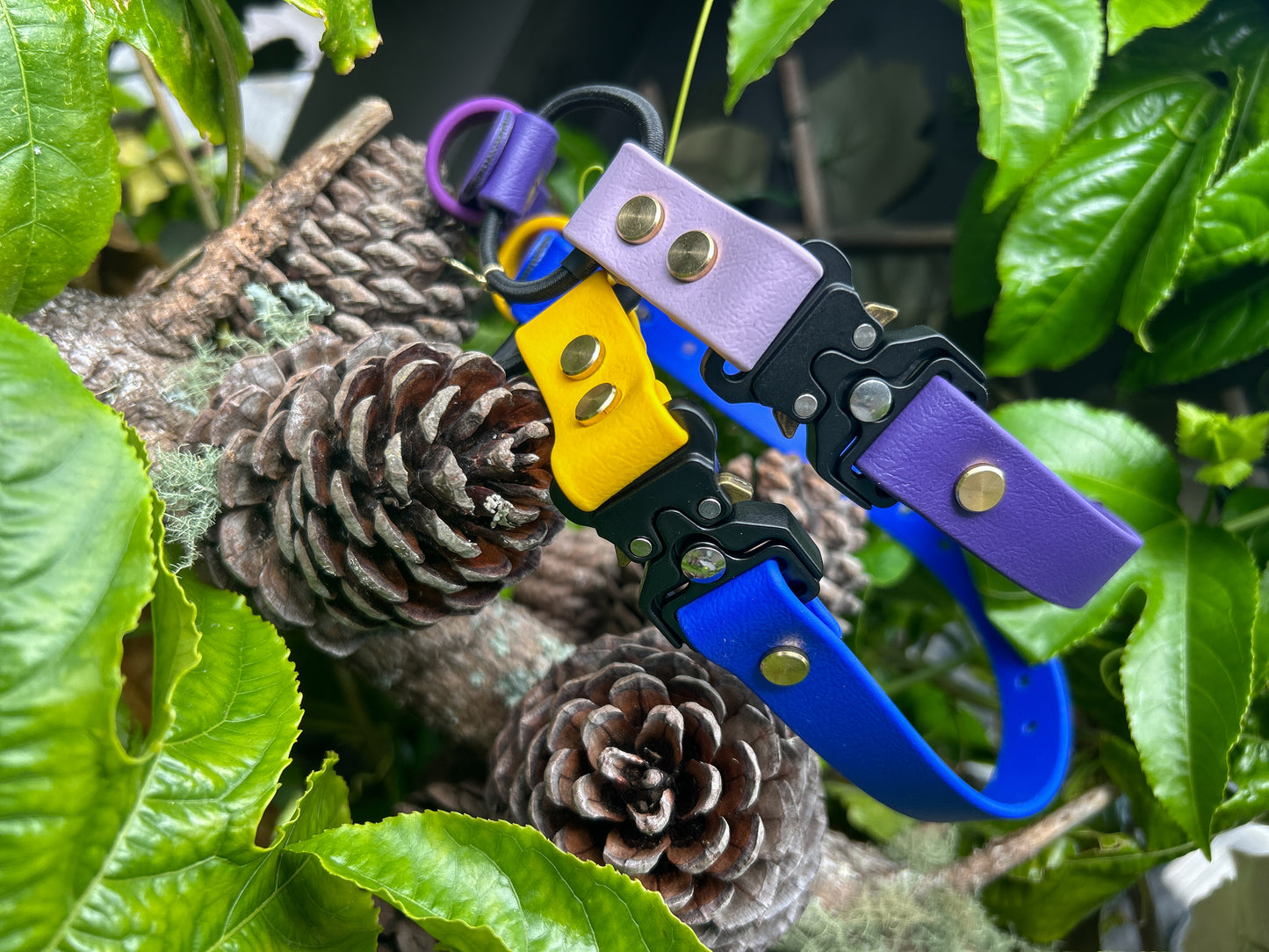 Quick release bungee E-Collar 3/4"