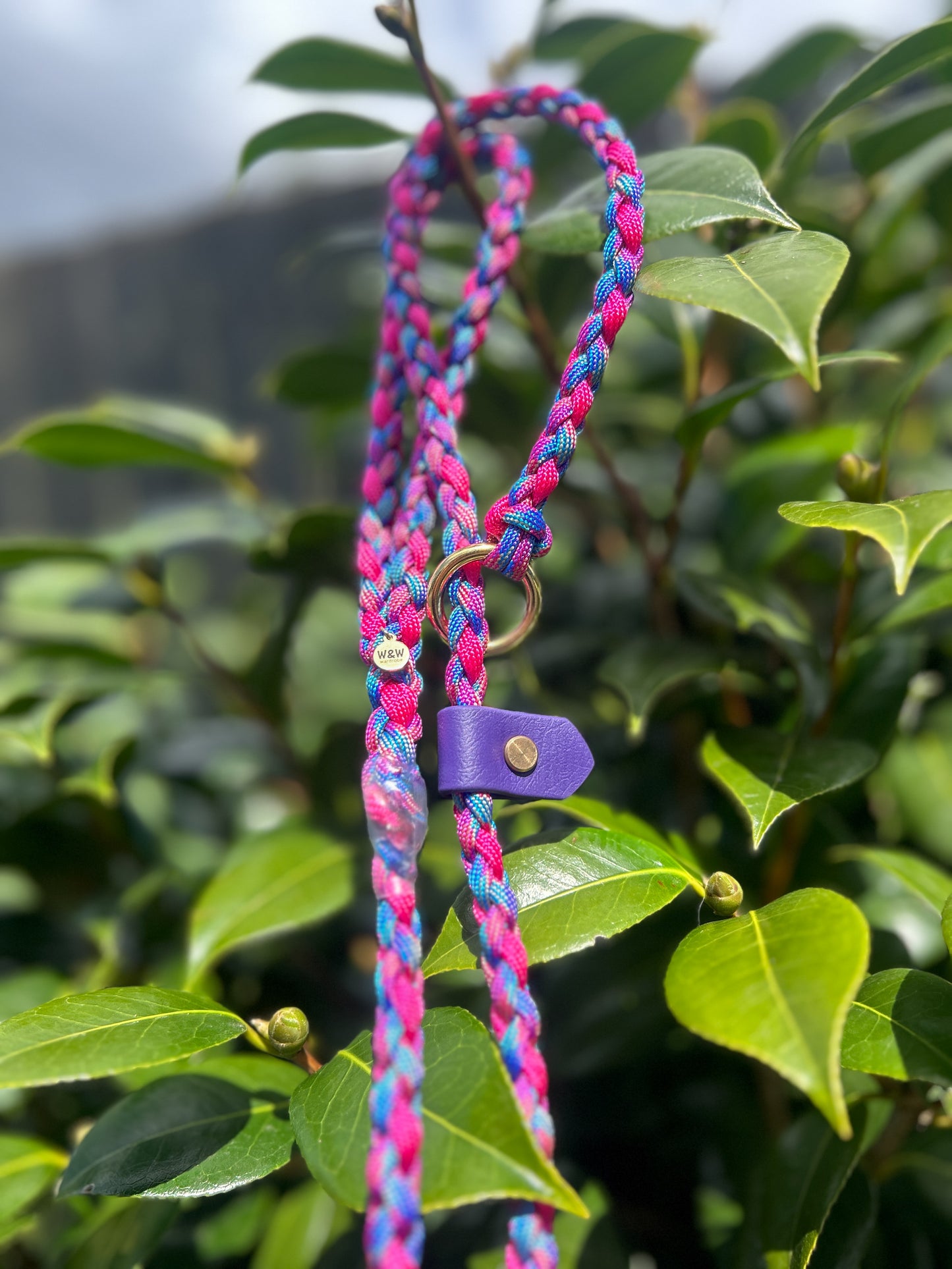 Paracord Slip Lead