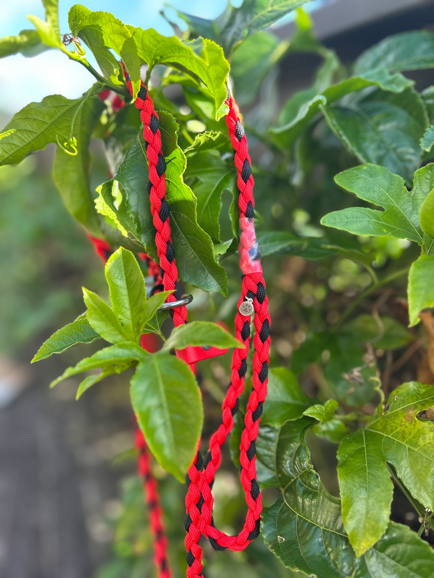 Paracord Slip Lead