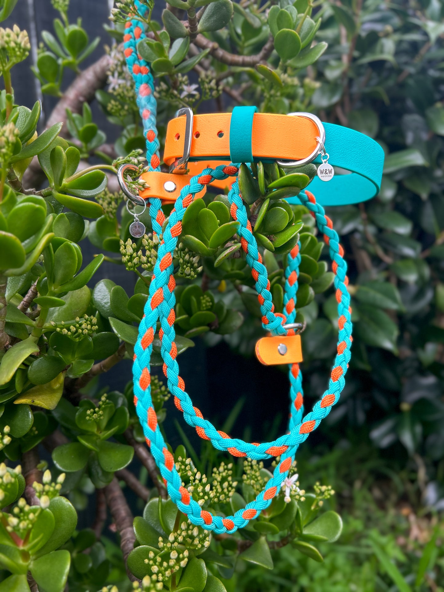 Double Trouble Collar