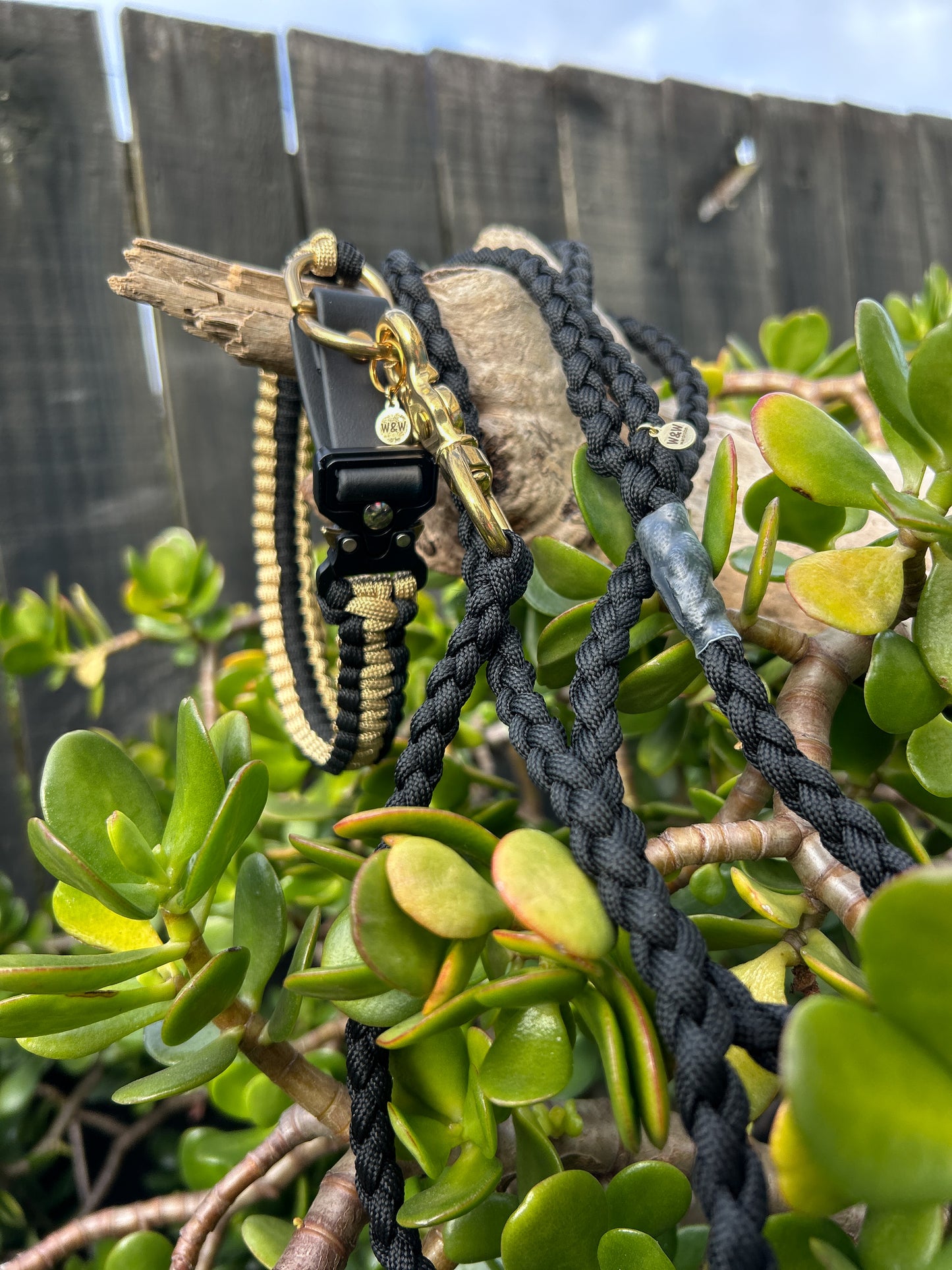 The Grow With Me Collar