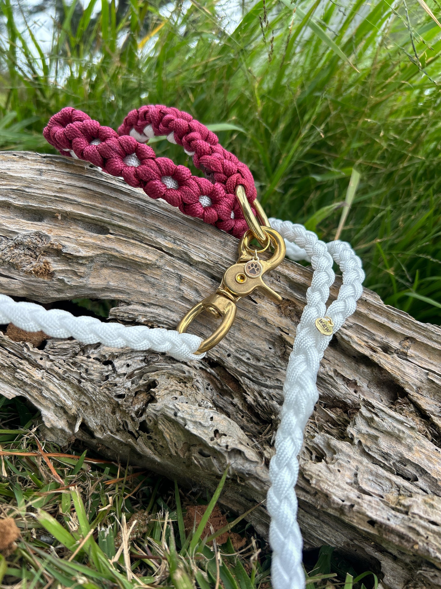 The Daisy Chain