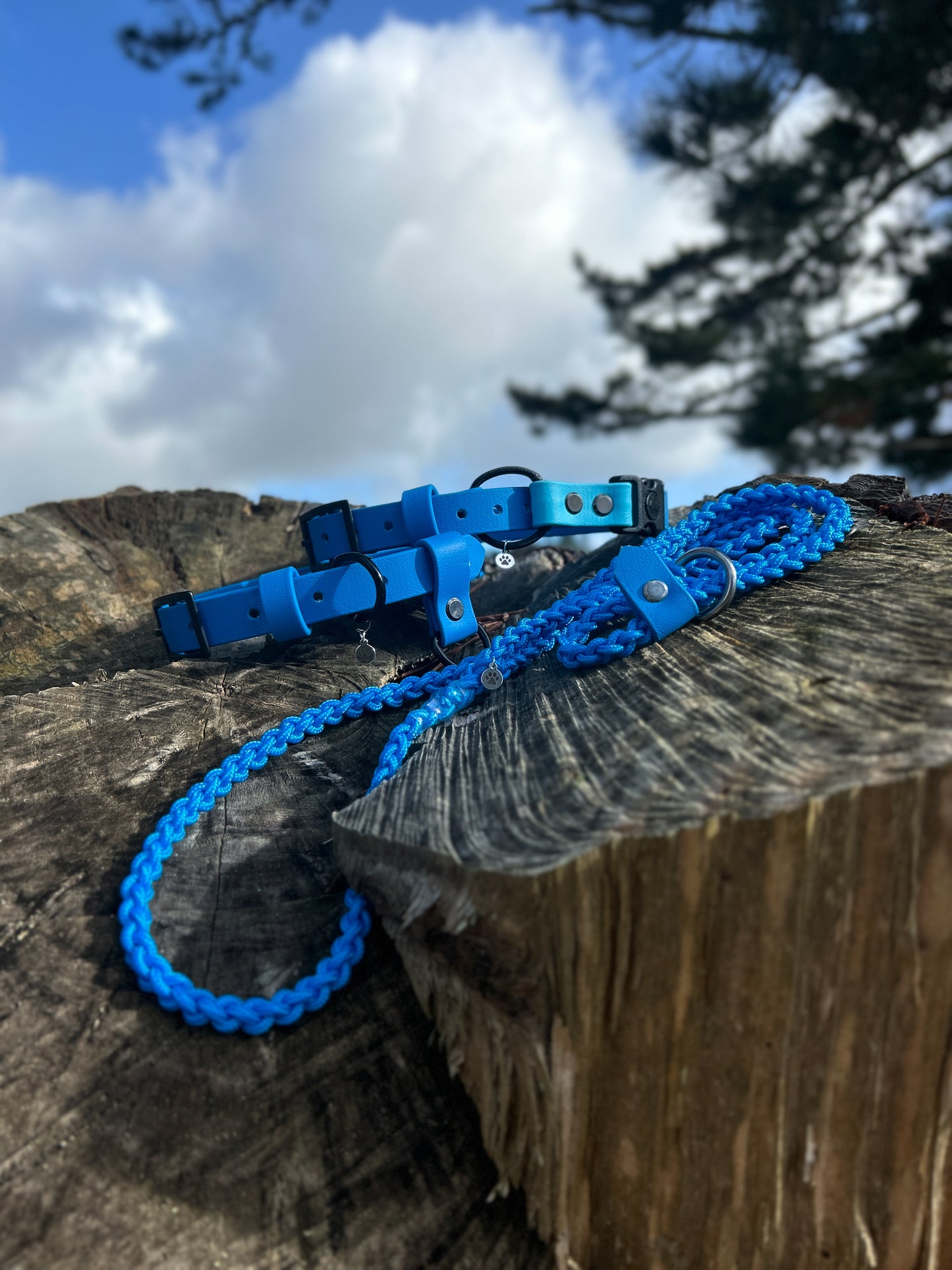 Lightweight Paracord Lead
