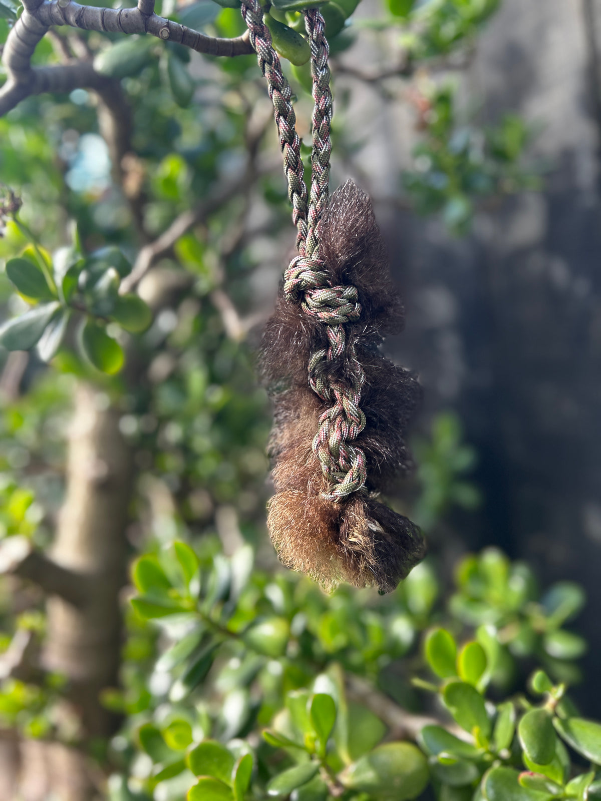 Possum Tug
