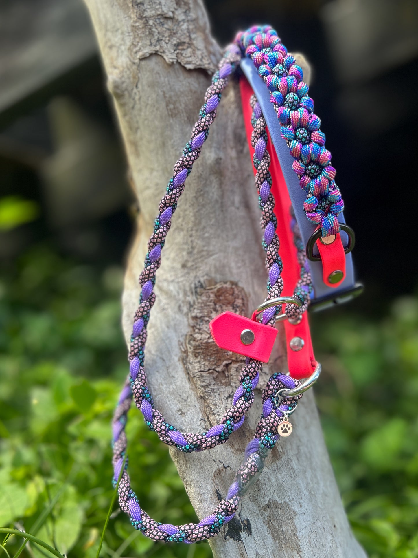 The Bloom Band 1"