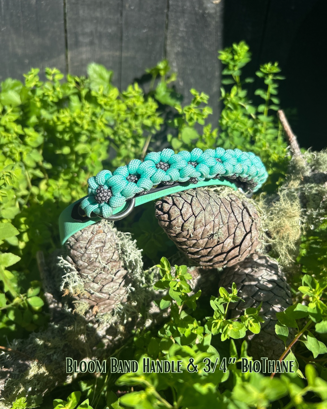 The Bloom Band 3/4"