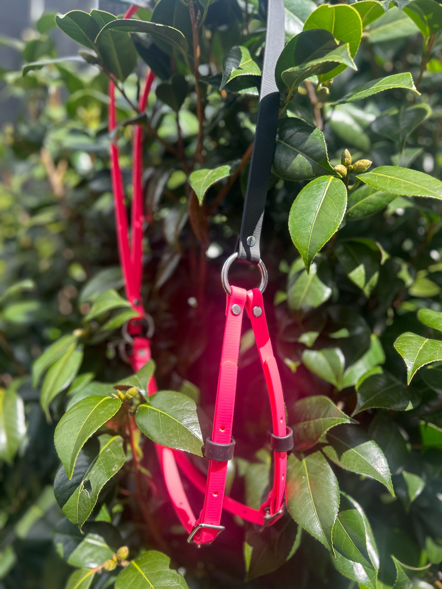 Simplistic Pack Harness