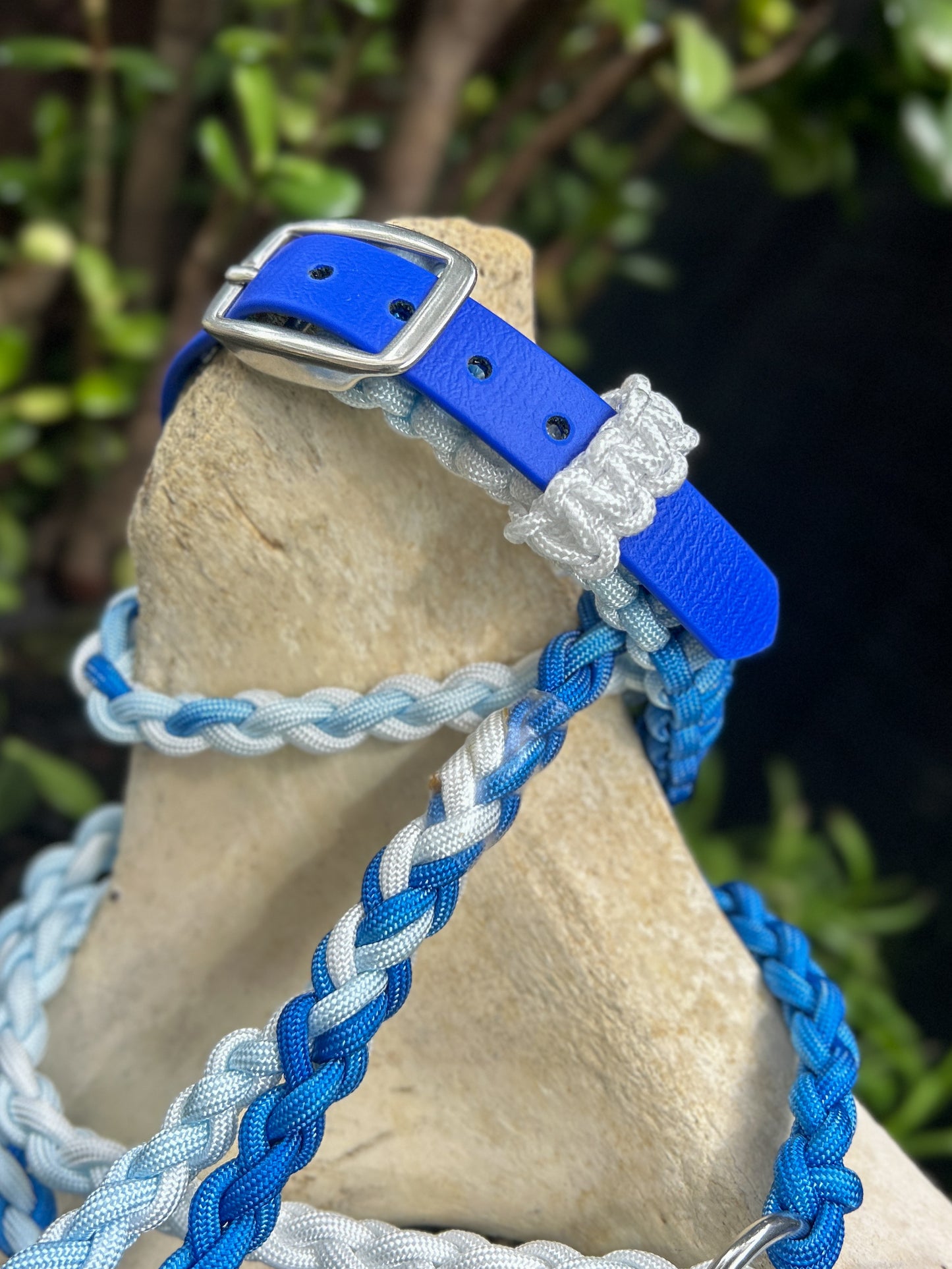 Blueveil Echo