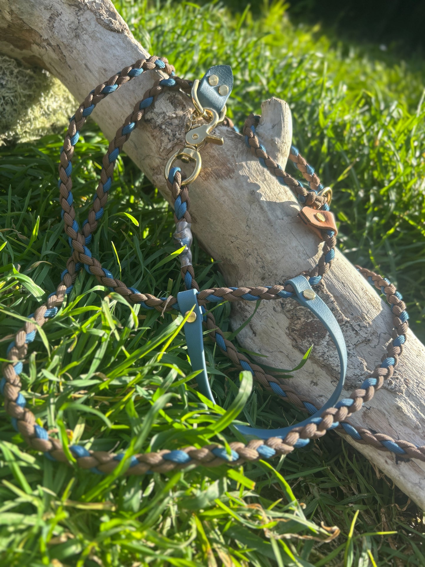 Multi-Function Paracord Lead