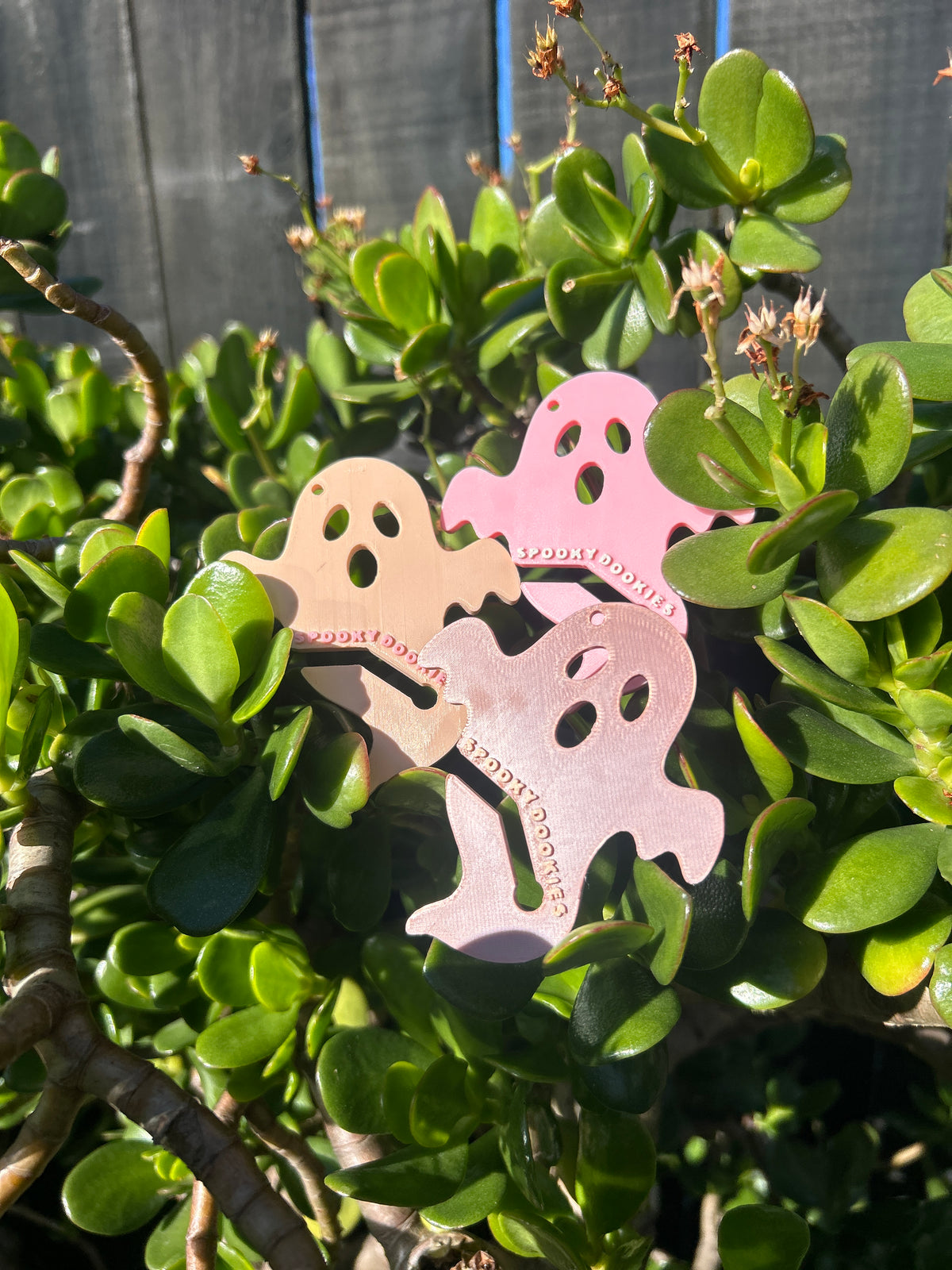 Spooky Dookie