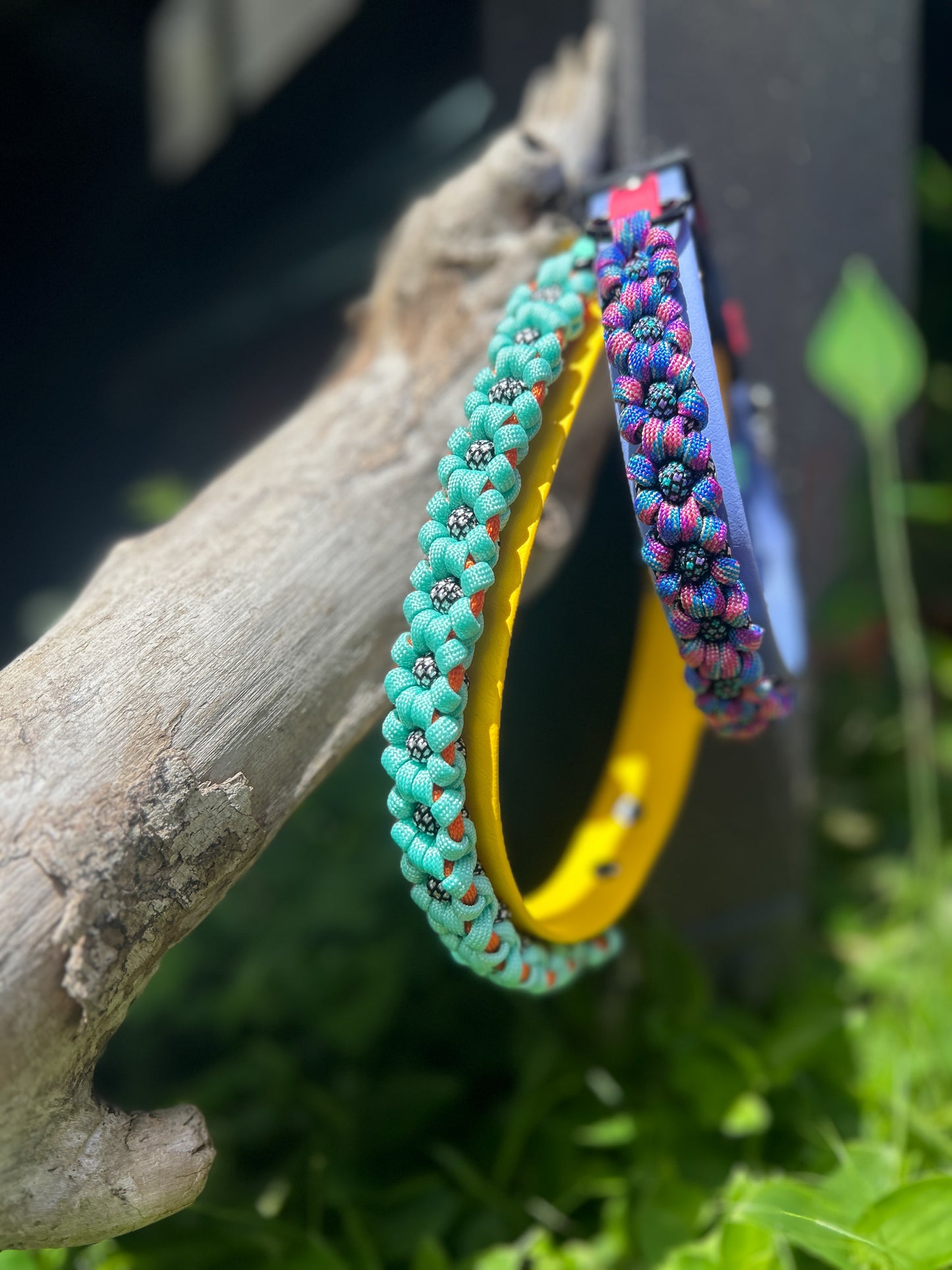 The Bloom Band 1"